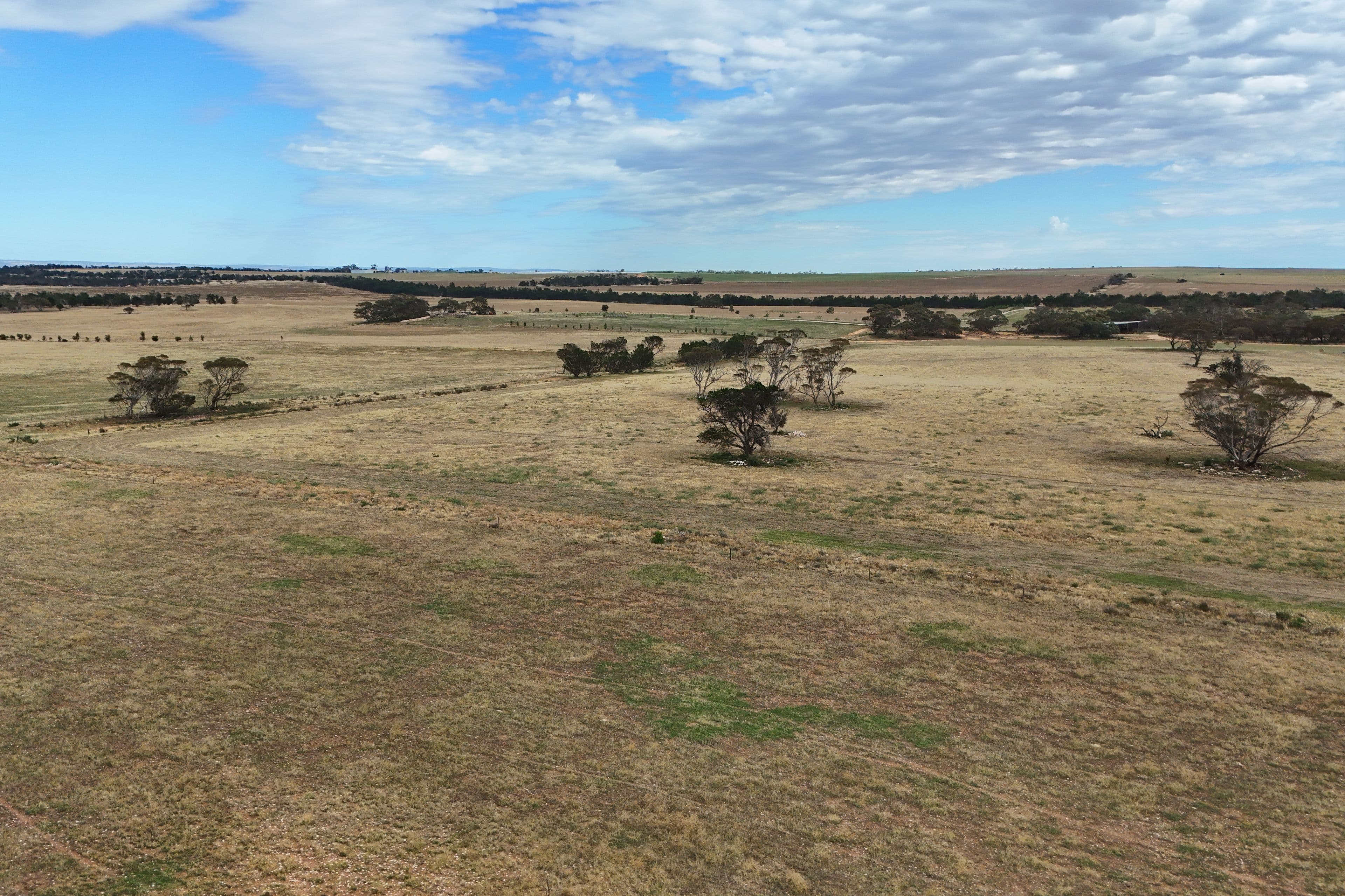 16401A Karoonda Highway, Burdett SA 5253, Burdett - Thumbnail 3
