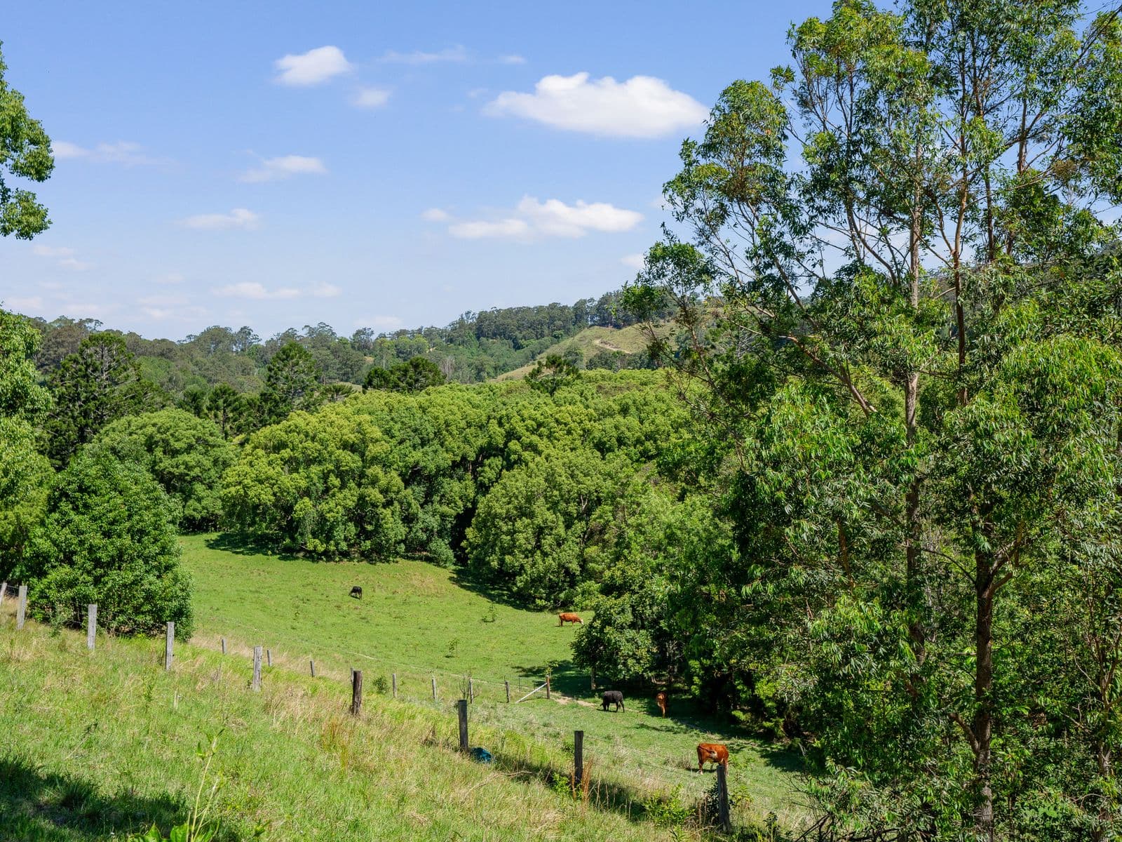 571 Clothiers Creek Road, Clothiers Creek - Thumbnail 3