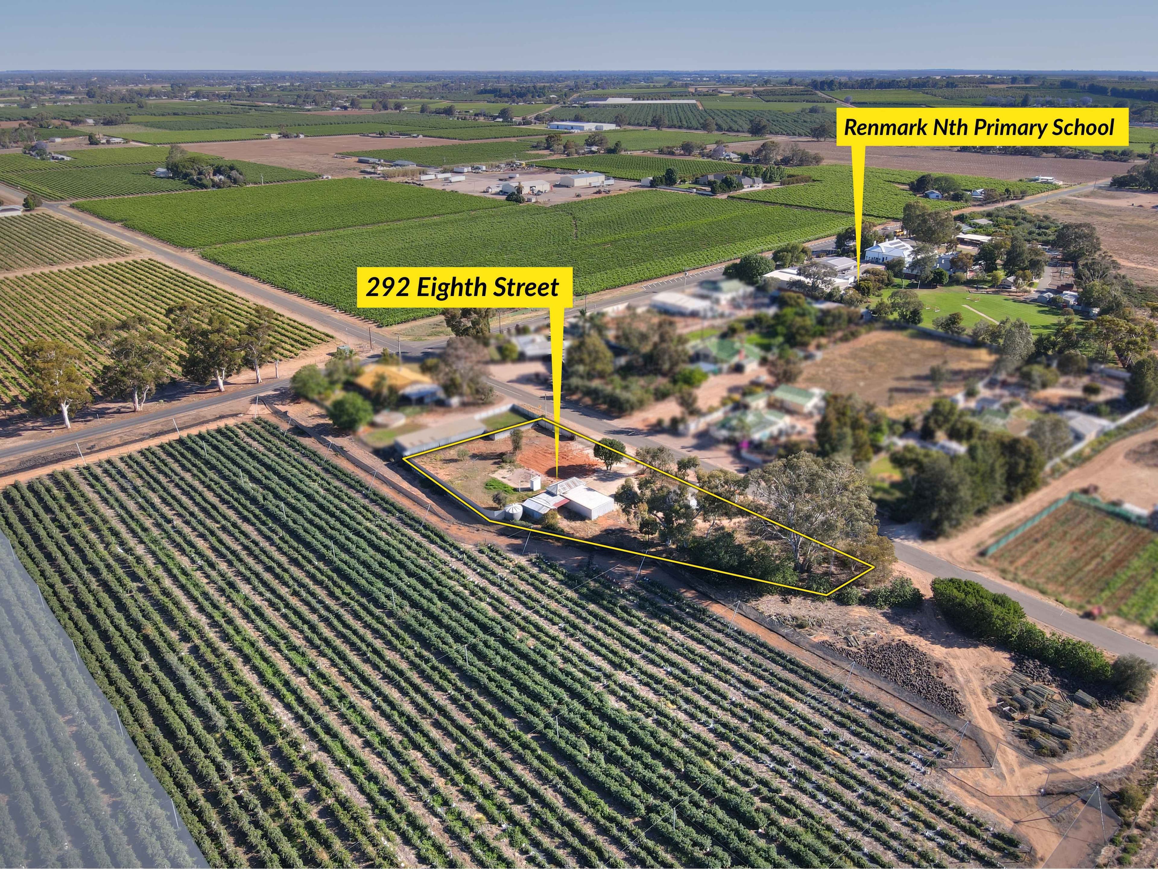 292 Eighth Street, Renmark SA 5341, Renmark North - Image 1