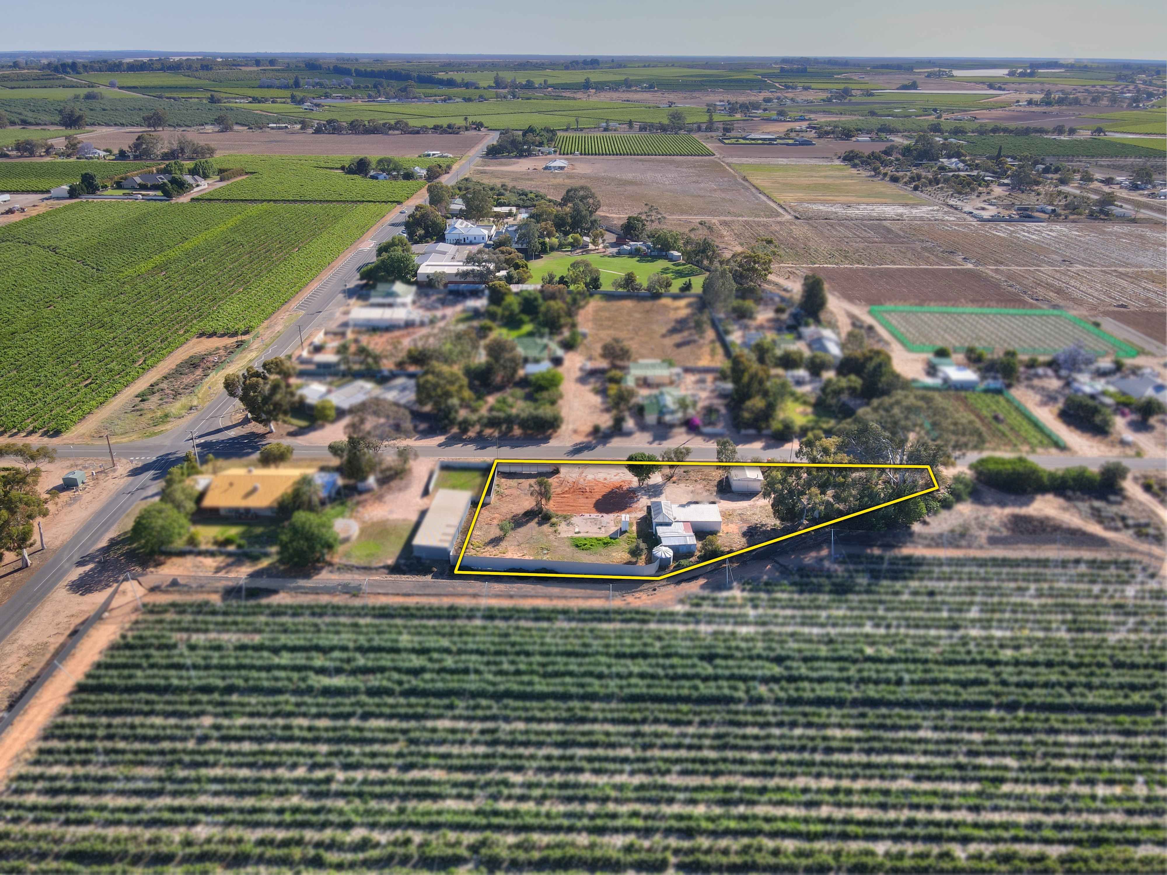 292 Eighth Street, Renmark SA 5341, Renmark North - Thumbnail 4
