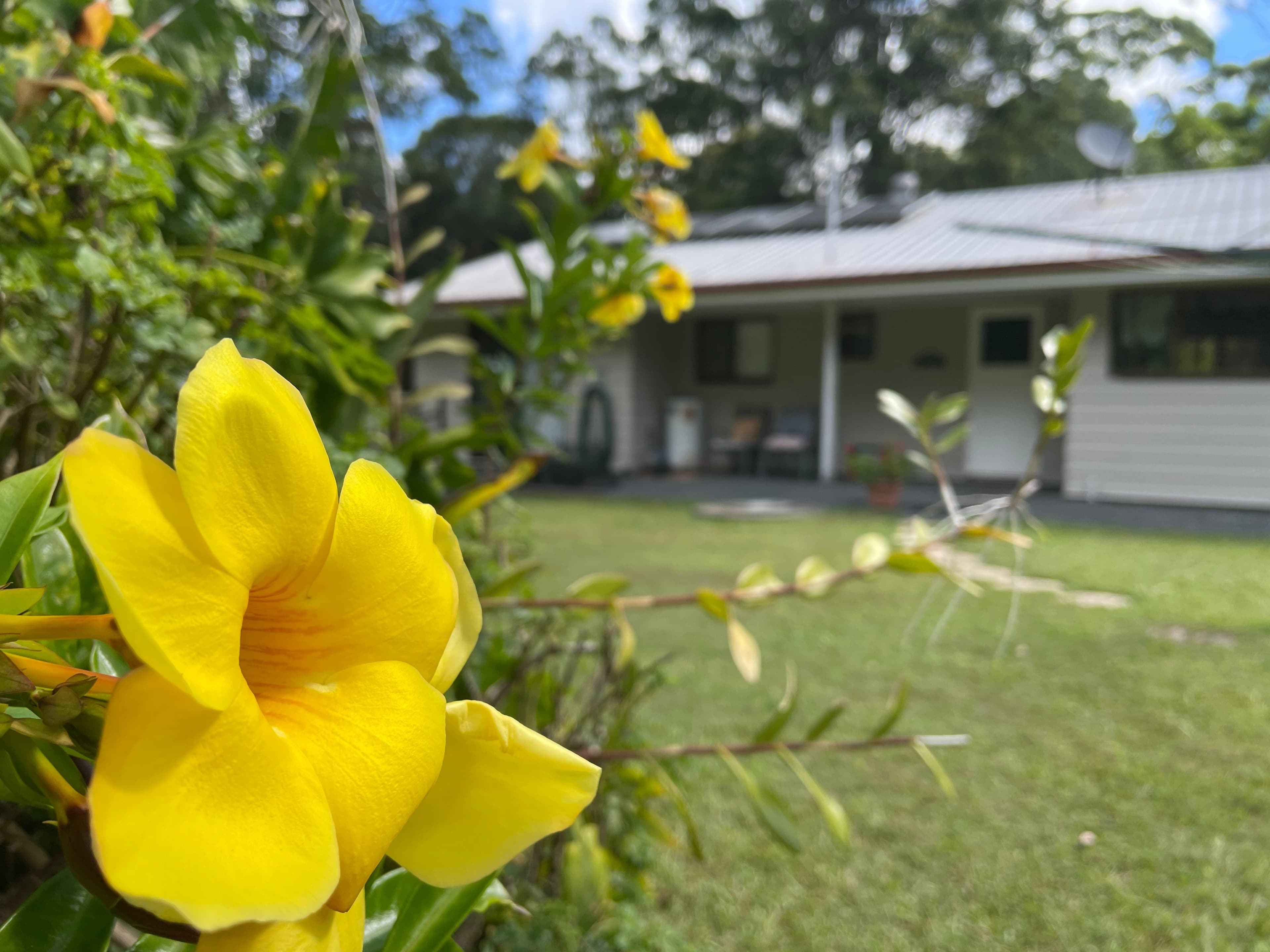 13 Kelly Court, Lake Macdonald QLD 4563, Lake Macdonald - Image 1