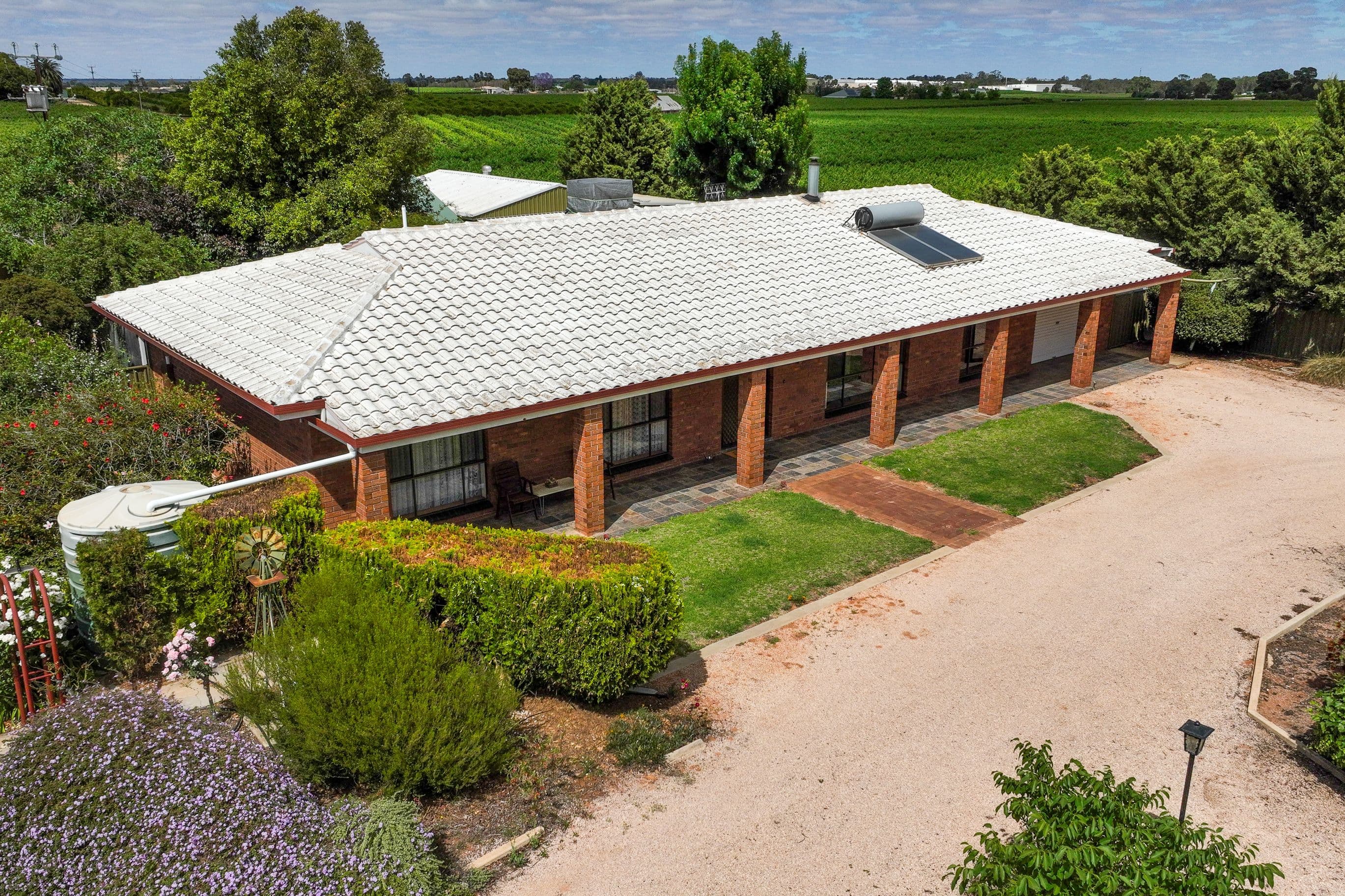 139 Woolston Road, Monash SA 5342, Monash - Image 1
