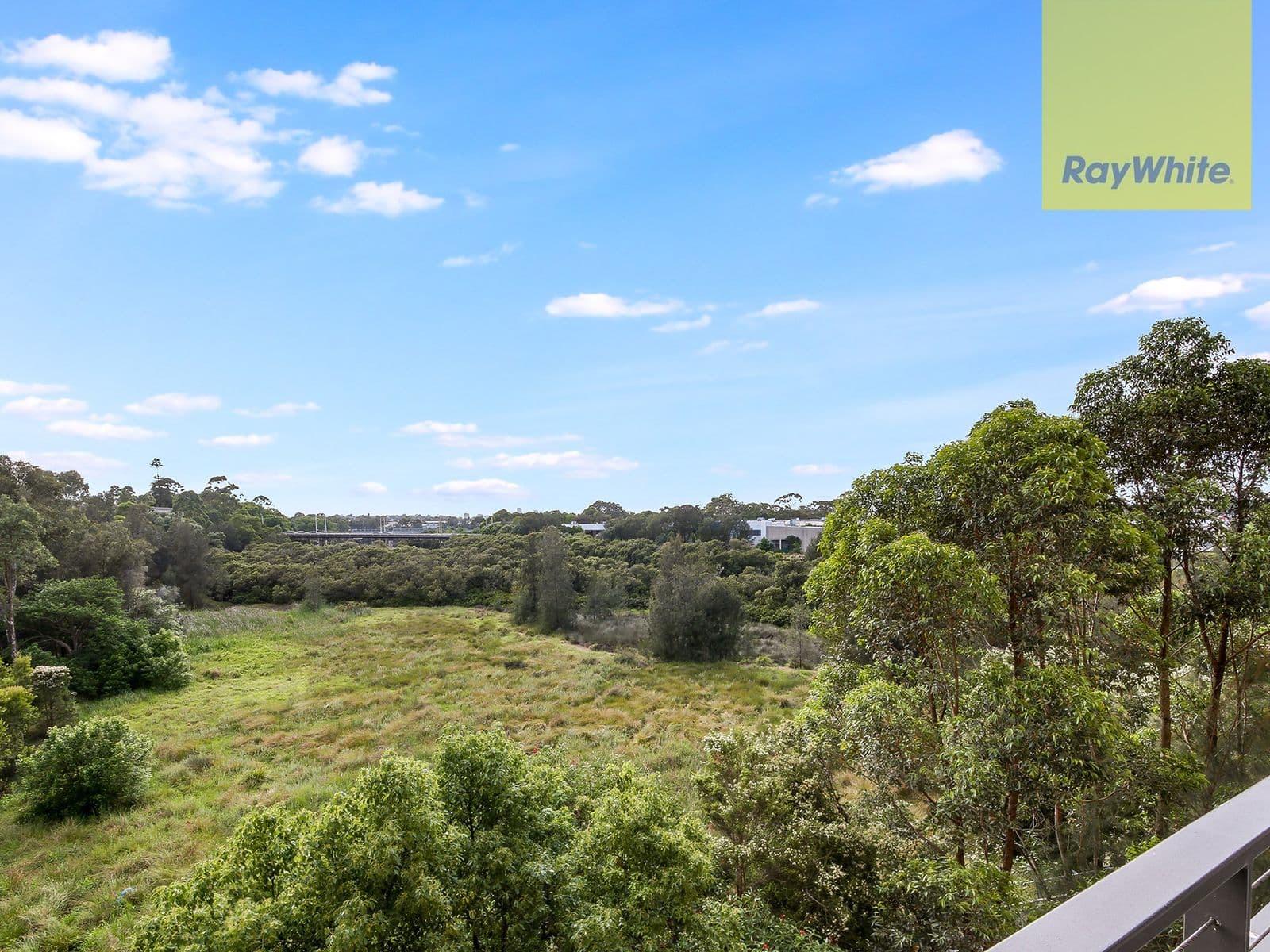 3 Broughton Street, Parramatta - Thumbnail 8
