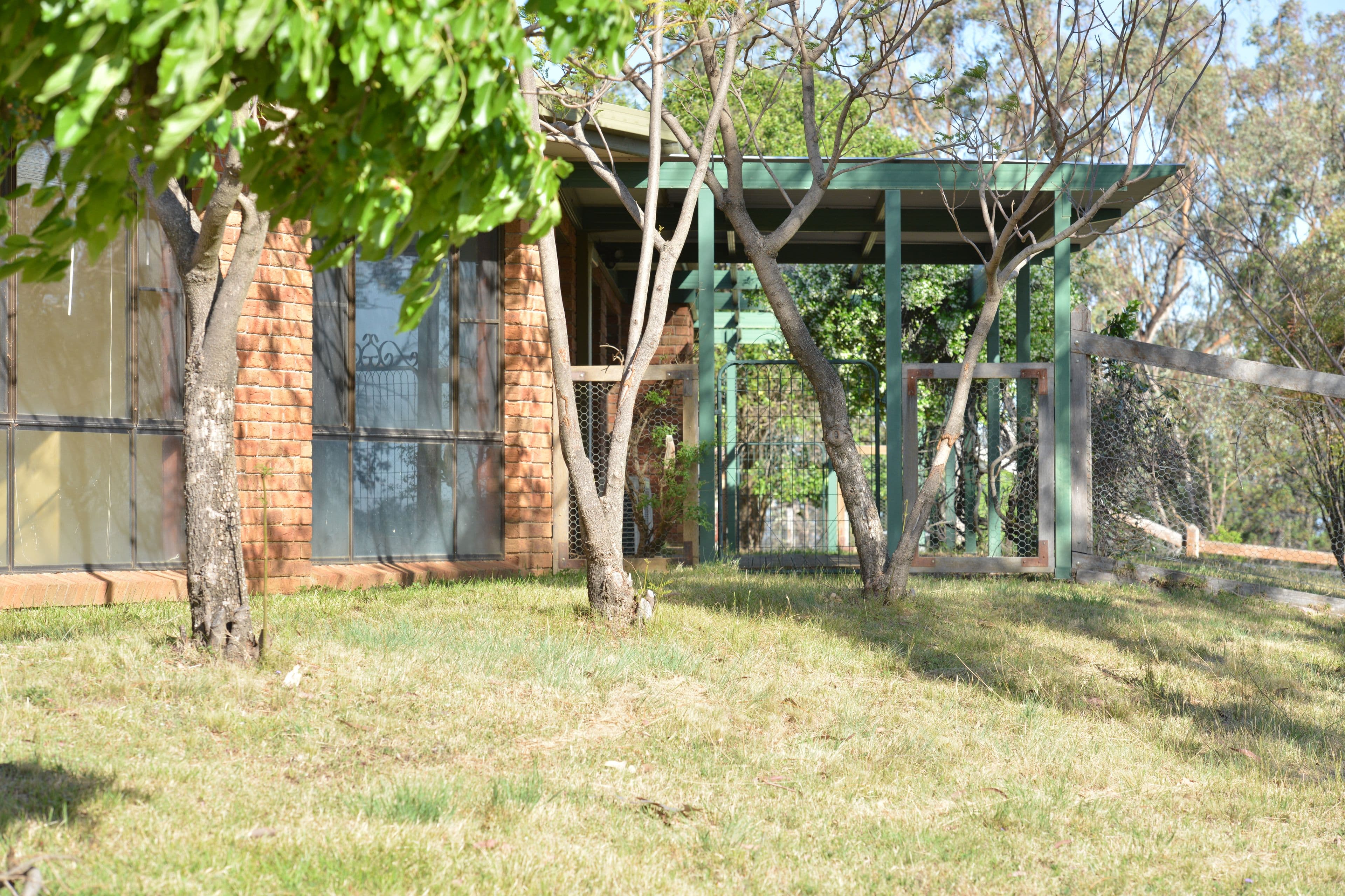 101 Stoney Point Road, Coonabarabran NSW 2357, Coonabarabran - Thumbnail 5