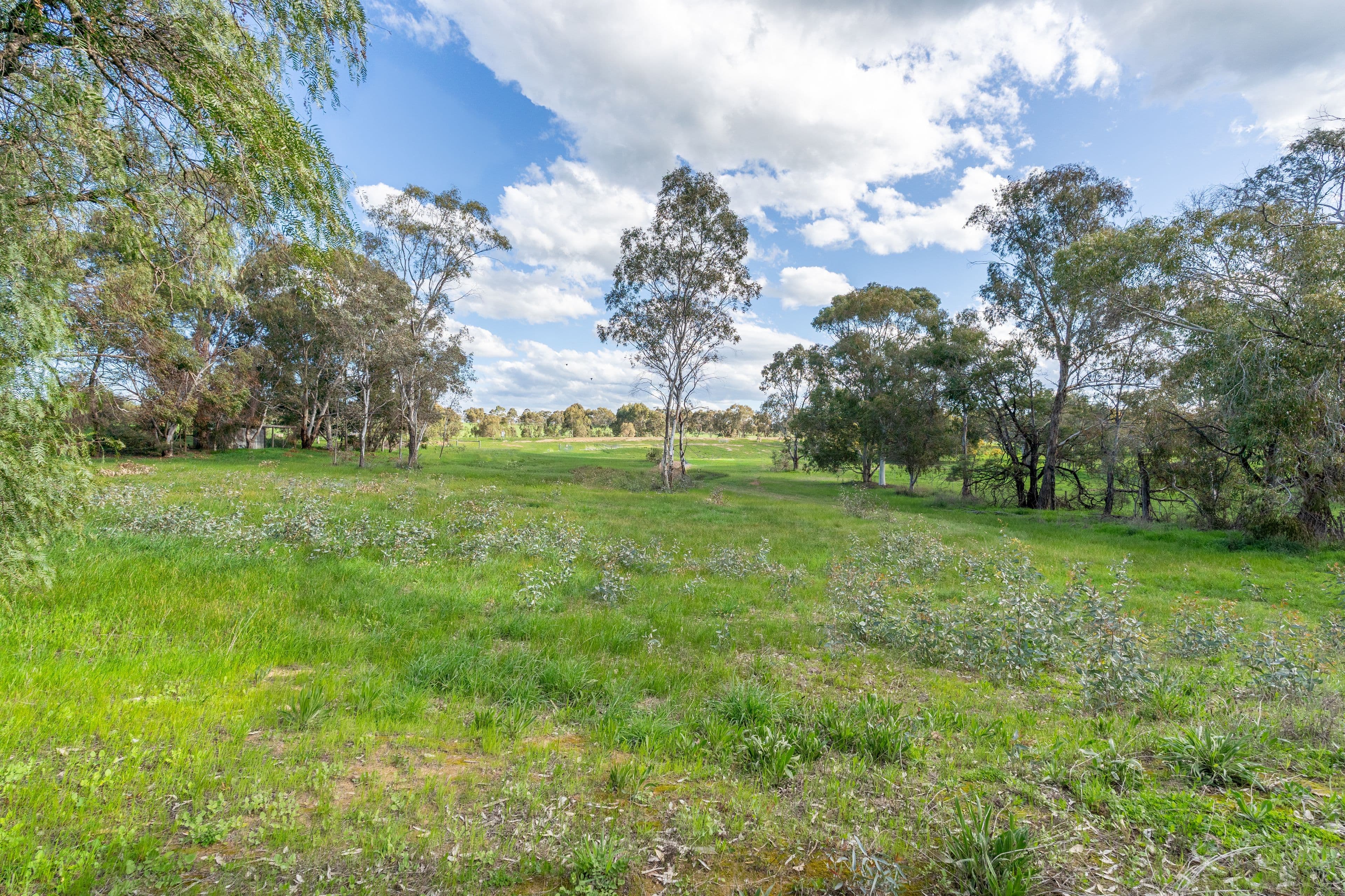 465 Tallarook-Pyalong Road, Tallarook VIC 3659, Tallarook - Thumbnail 8