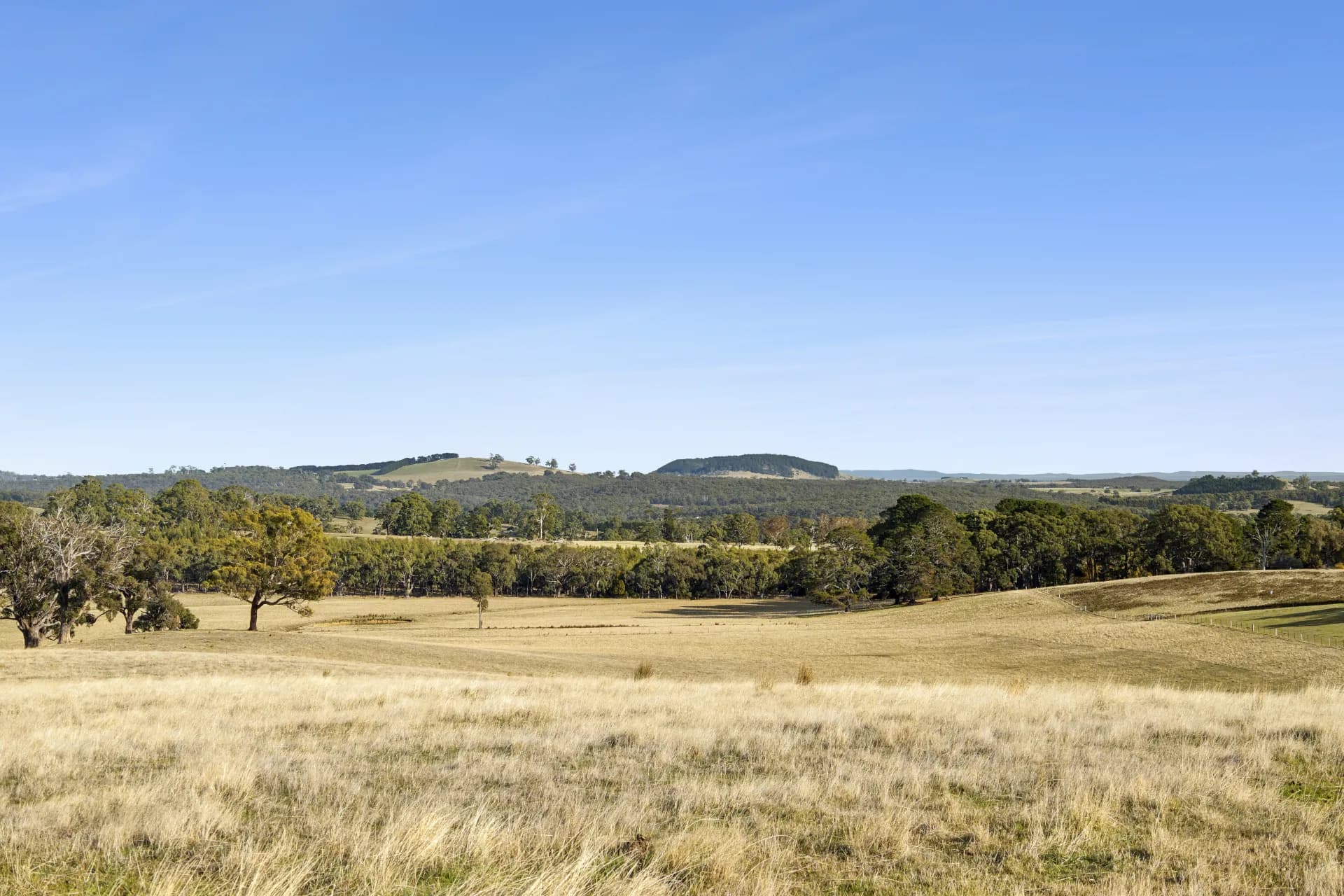 Lot 1, 104 Holcombe Road, Glenlyon, VIC, Glenlyon - Thumbnail 3
