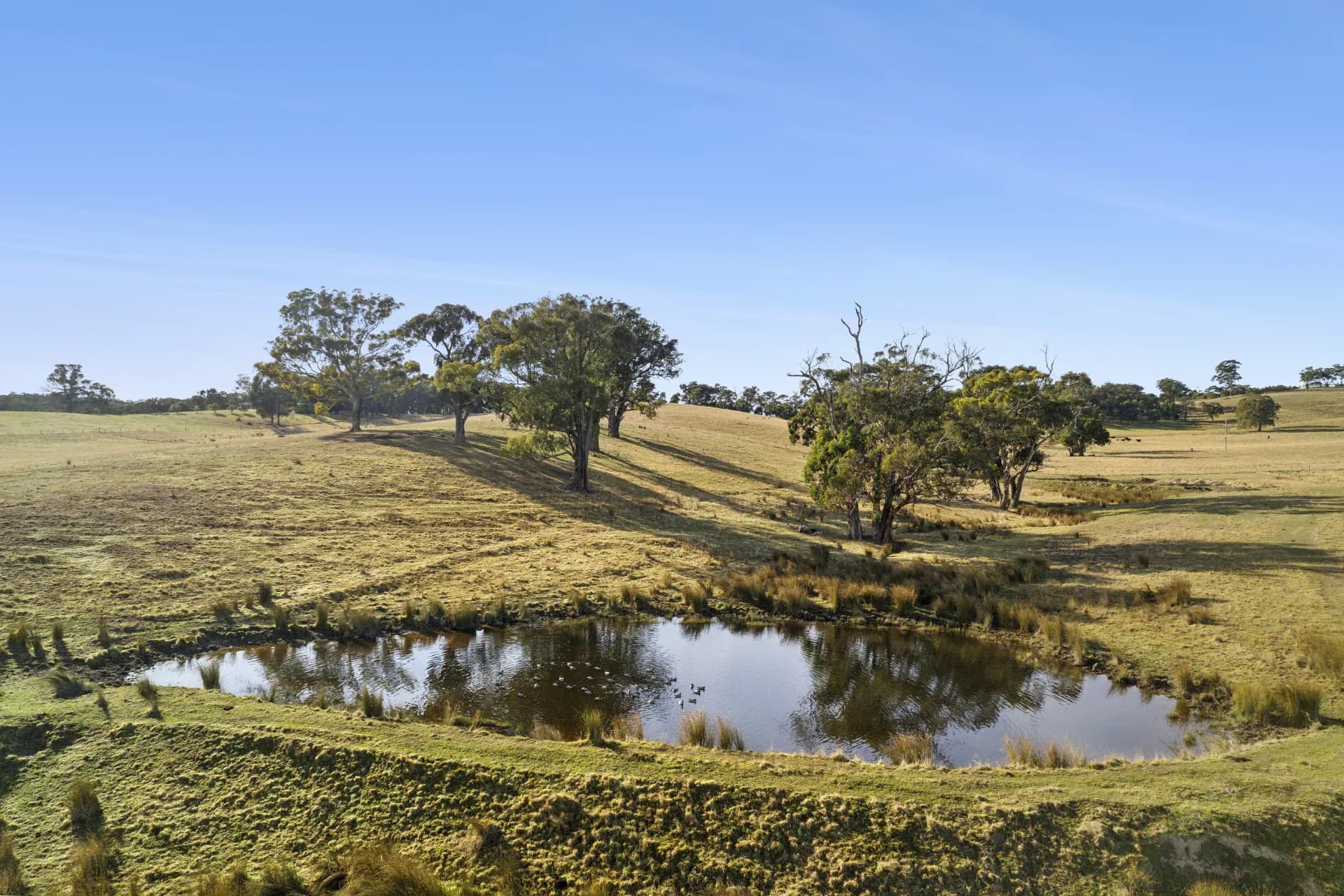 Lot 1, 104 Holcombe Road, Glenlyon, VIC, Glenlyon - Thumbnail 4