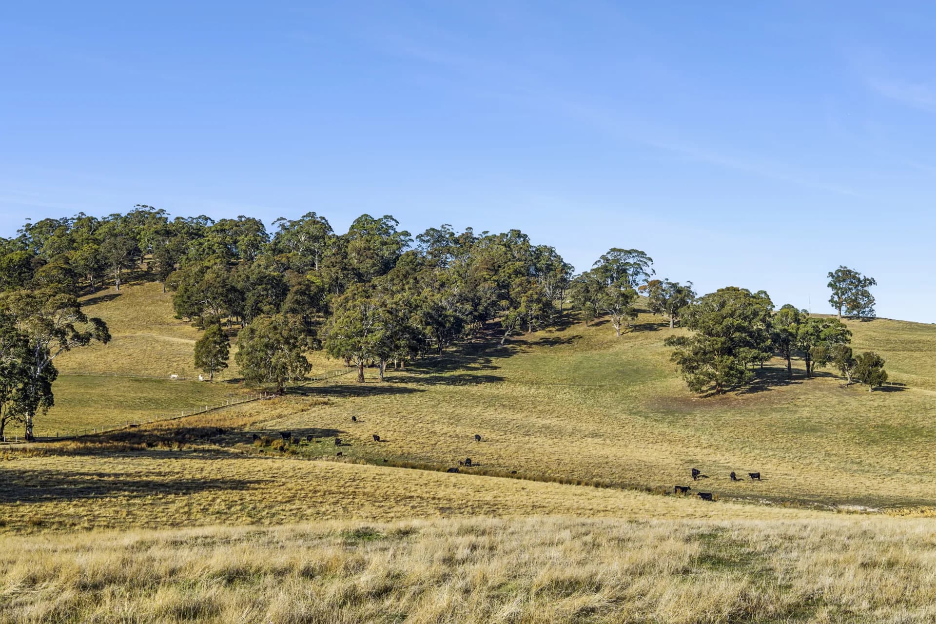 Lot 1, 104 Holcombe Road, Glenlyon, VIC, Glenlyon - Thumbnail 5