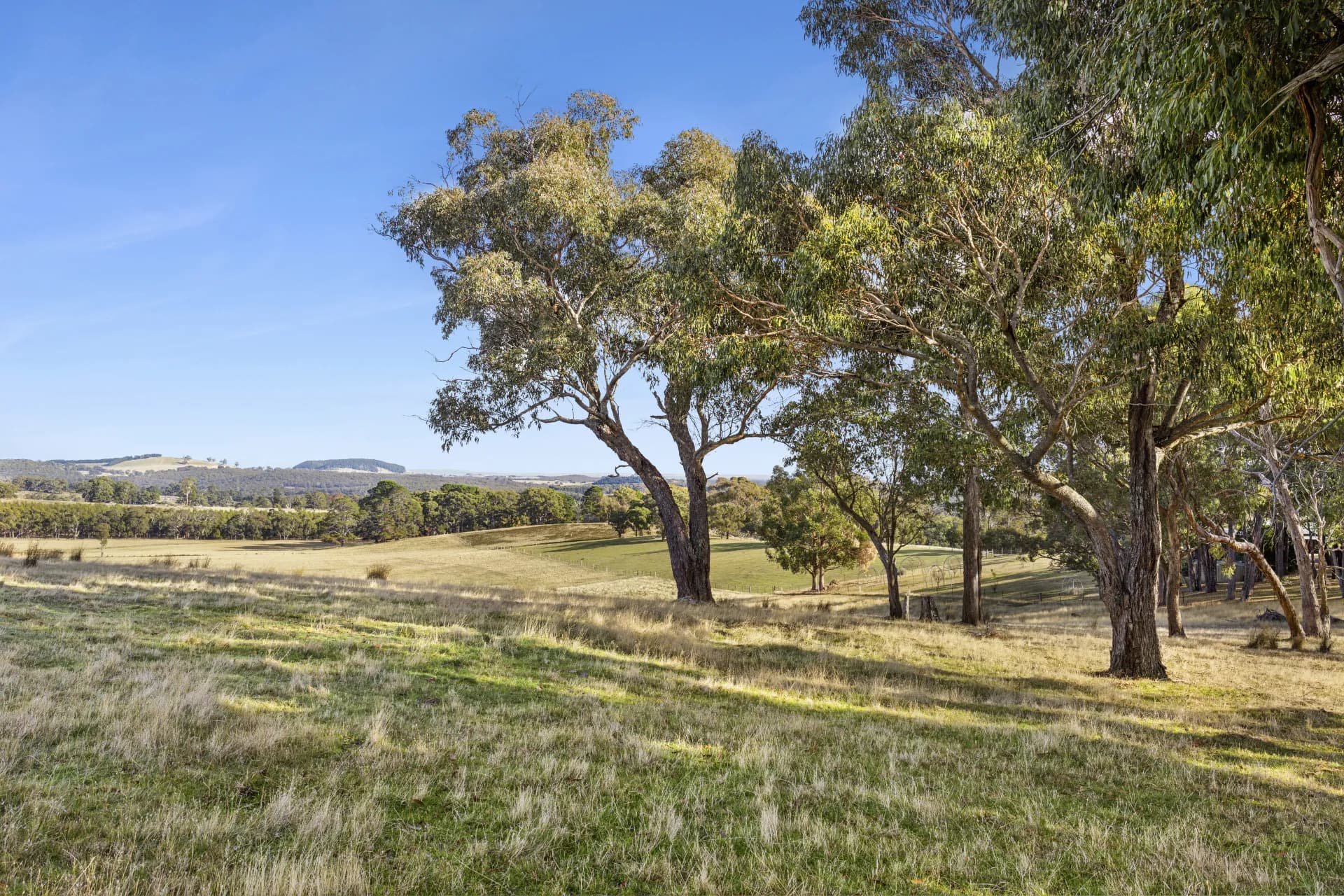 Lot 1, 104 Holcombe Road, Glenlyon, VIC, Glenlyon - Thumbnail 6