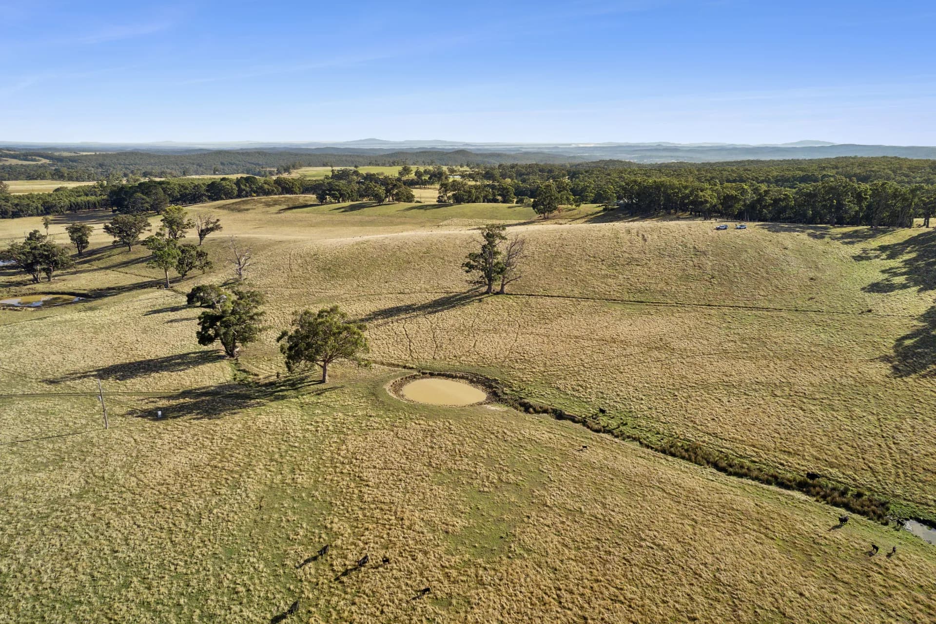Lot 1, 104 Holcombe Road, Glenlyon, VIC, Glenlyon - Thumbnail 7