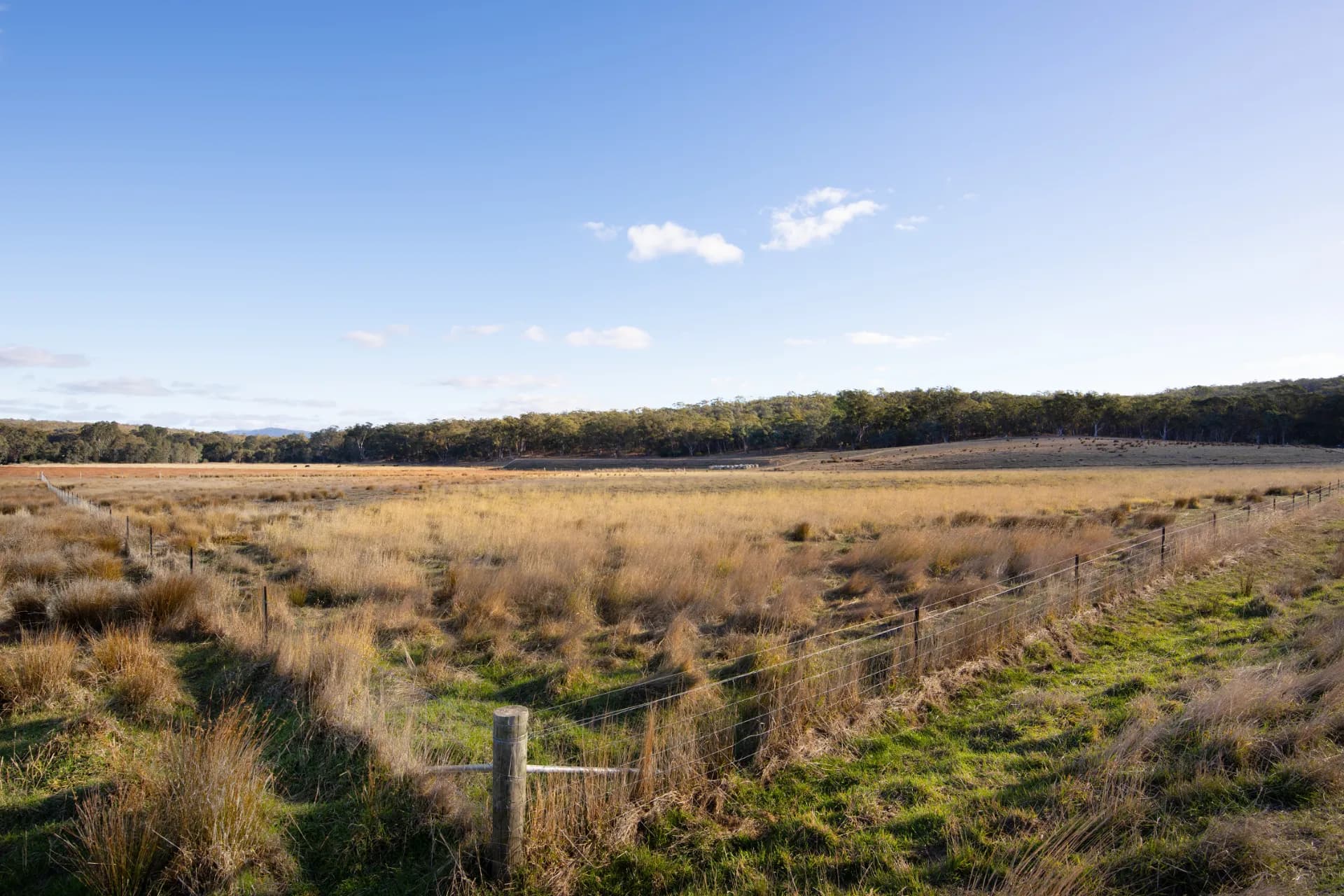 Lot 2, 89 Tolhurst Road, Axe Creek, VIC, Axe Creek - Thumbnail 2