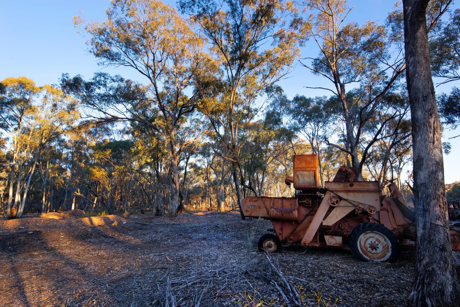 32A + 32D Eaglehawk-Neilborough Road, Neilborough, VIC, Neilborough - Thumbnail 6