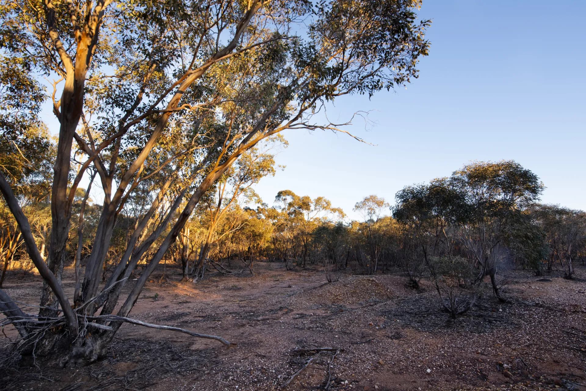 32A + 32D Eaglehawk-Neilborough Road, Neilborough, VIC, Neilborough - Thumbnail 8