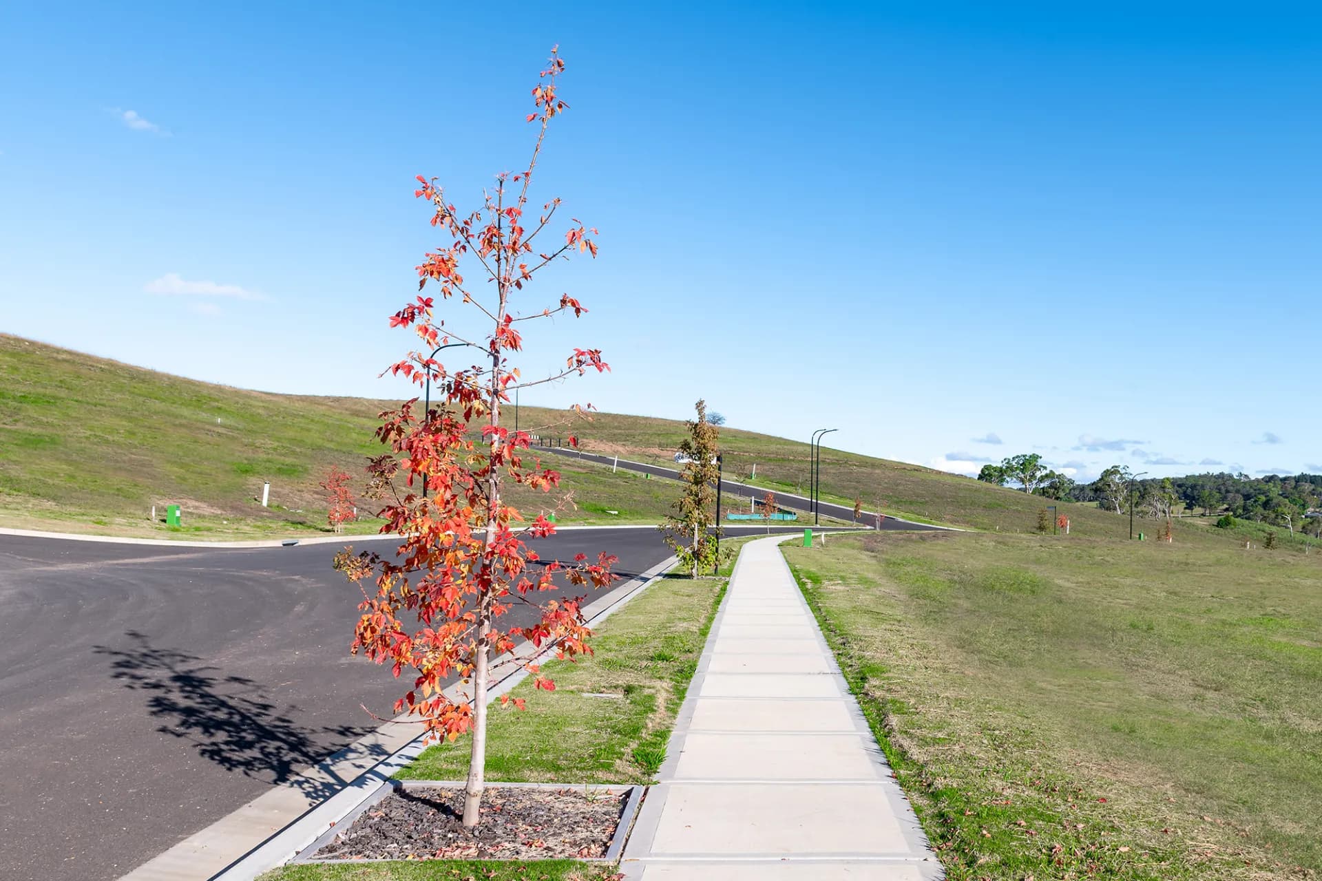 Lot 813, Honeysuckle Drive - Thumbnail 2
