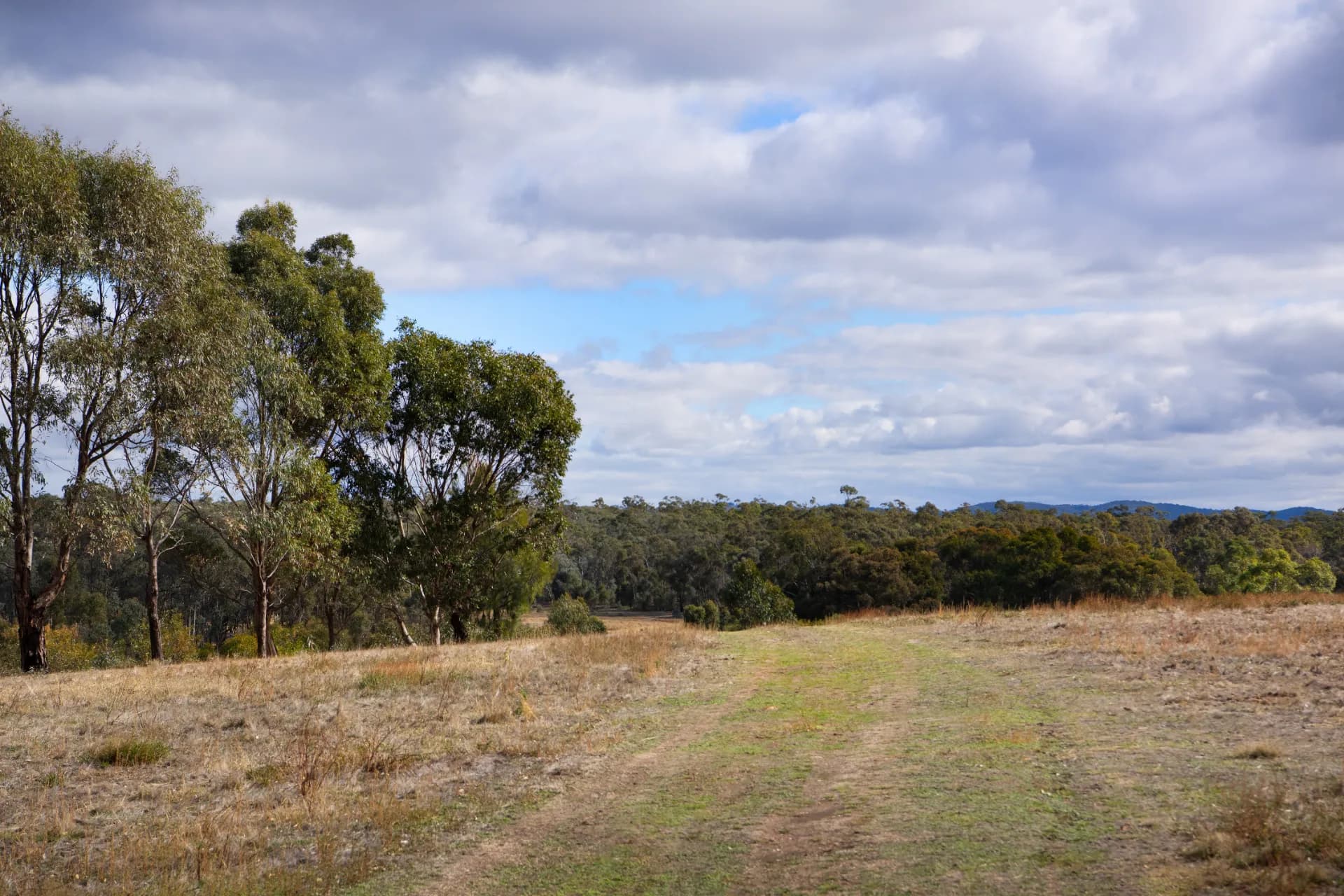 Lot 14, Patons Road - Thumbnail 8