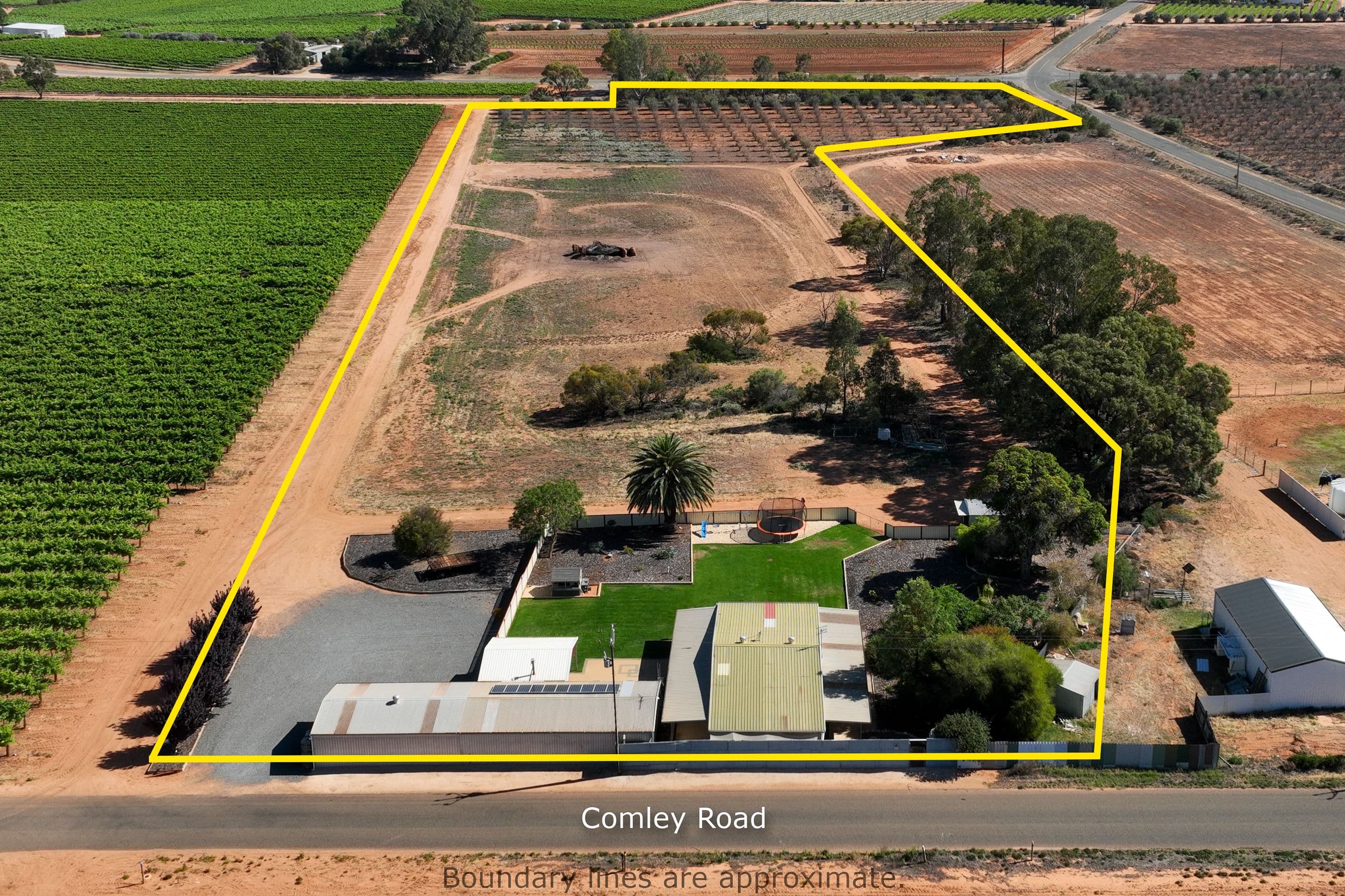 16 Comley Road, Barmera SA 5345, Barmera - Image 1