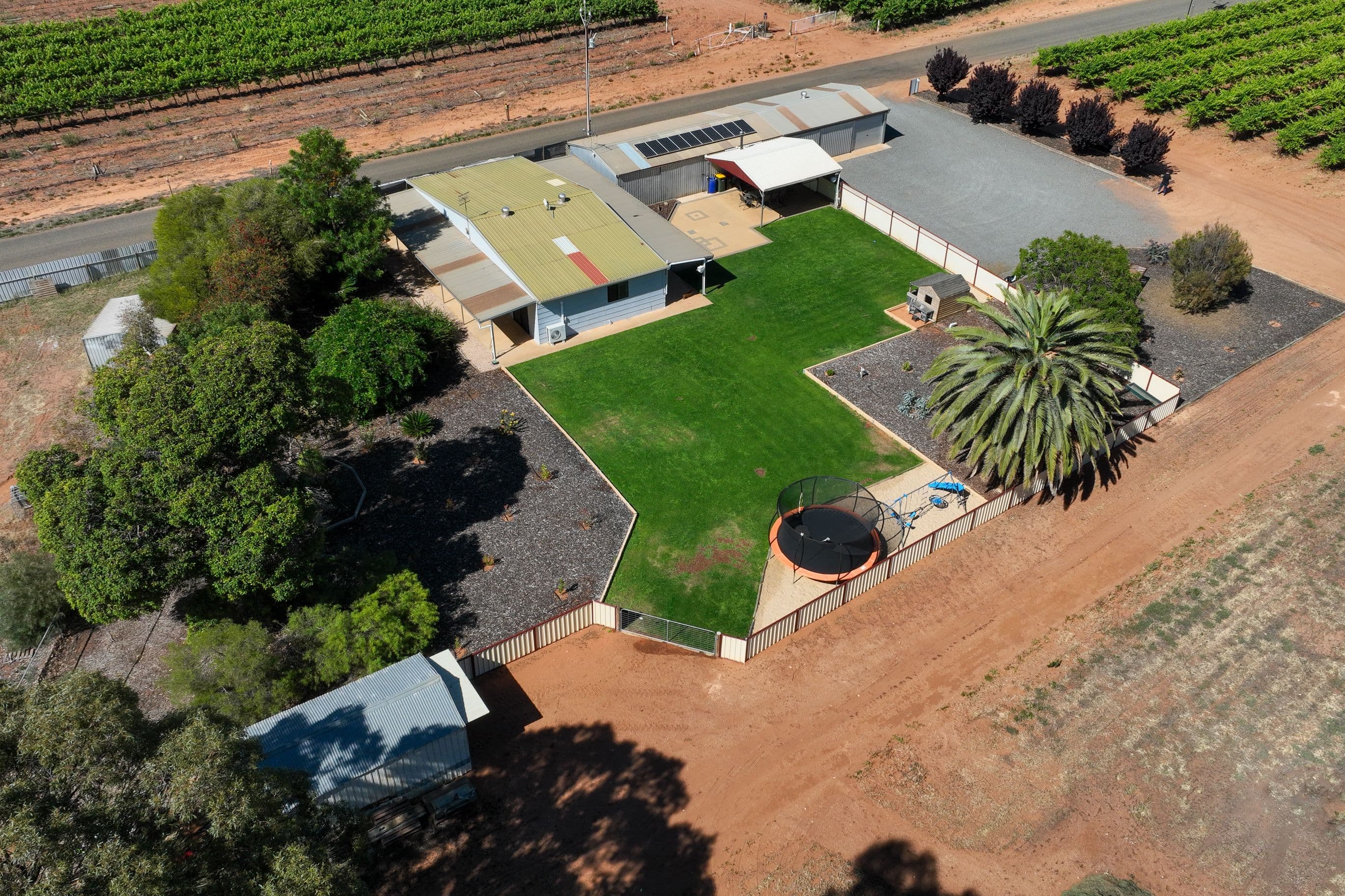 16 Comley Road, Barmera SA 5345, Barmera - Thumbnail 3