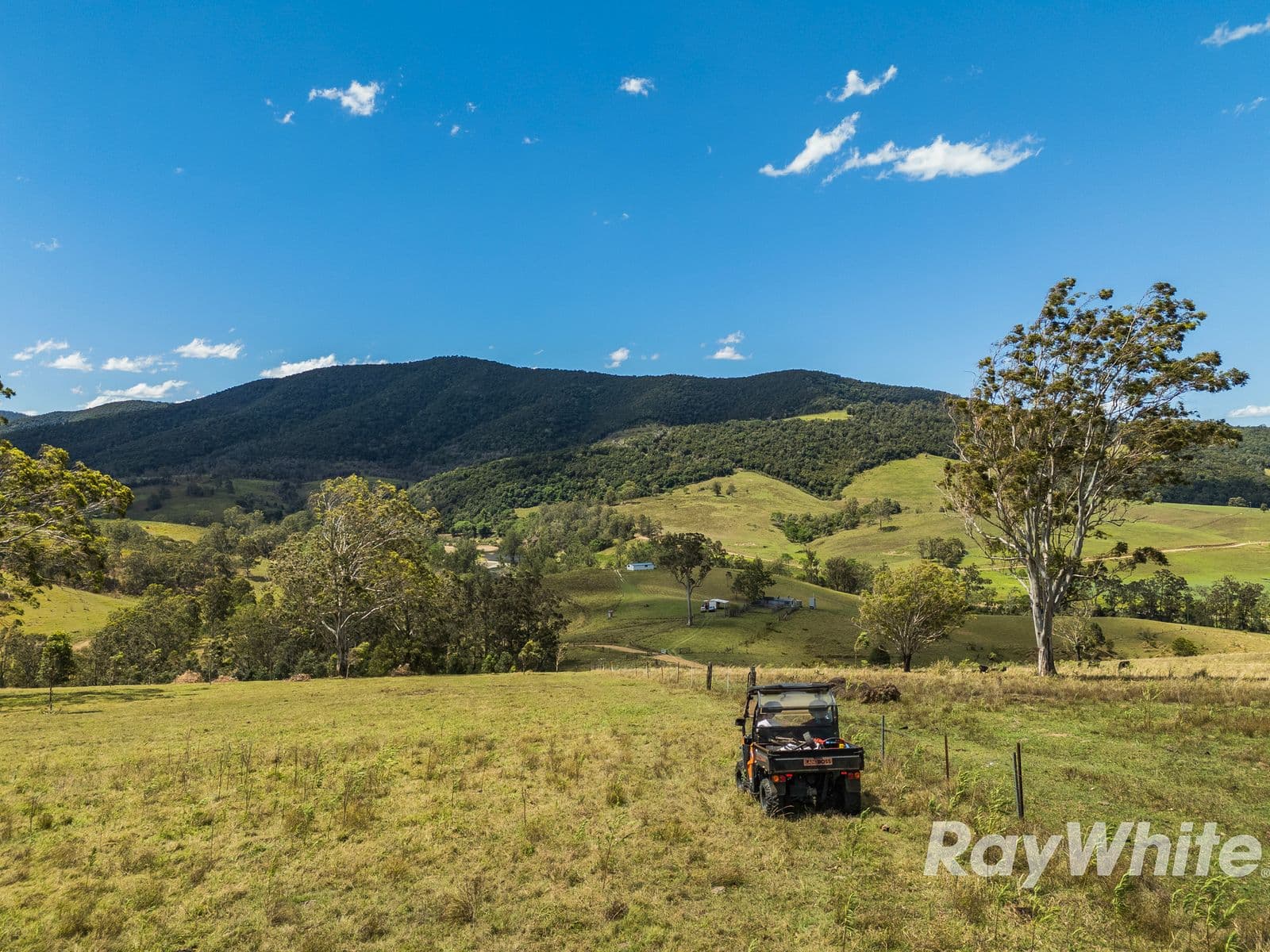 330 Smiths Road, Callaghans Creek - Thumbnail 8