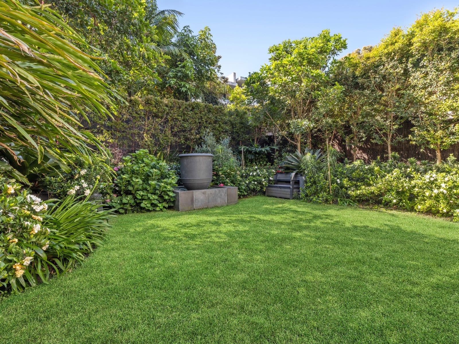 22 Spencer Street, Rose Bay - Thumbnail 4