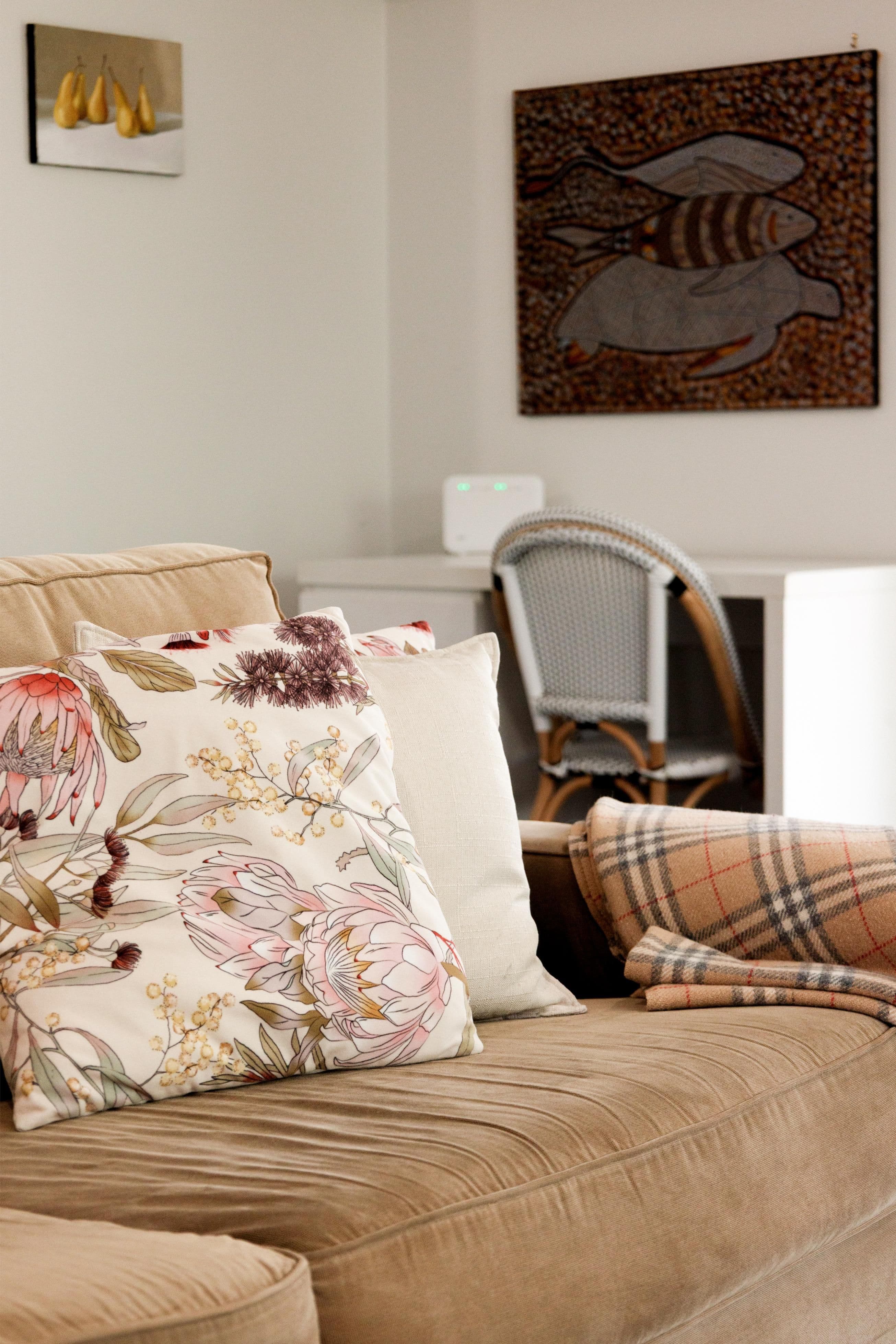 11 Elizabeth Street, Warrnambool VIC 3280, Warrnambool - Thumbnail 5