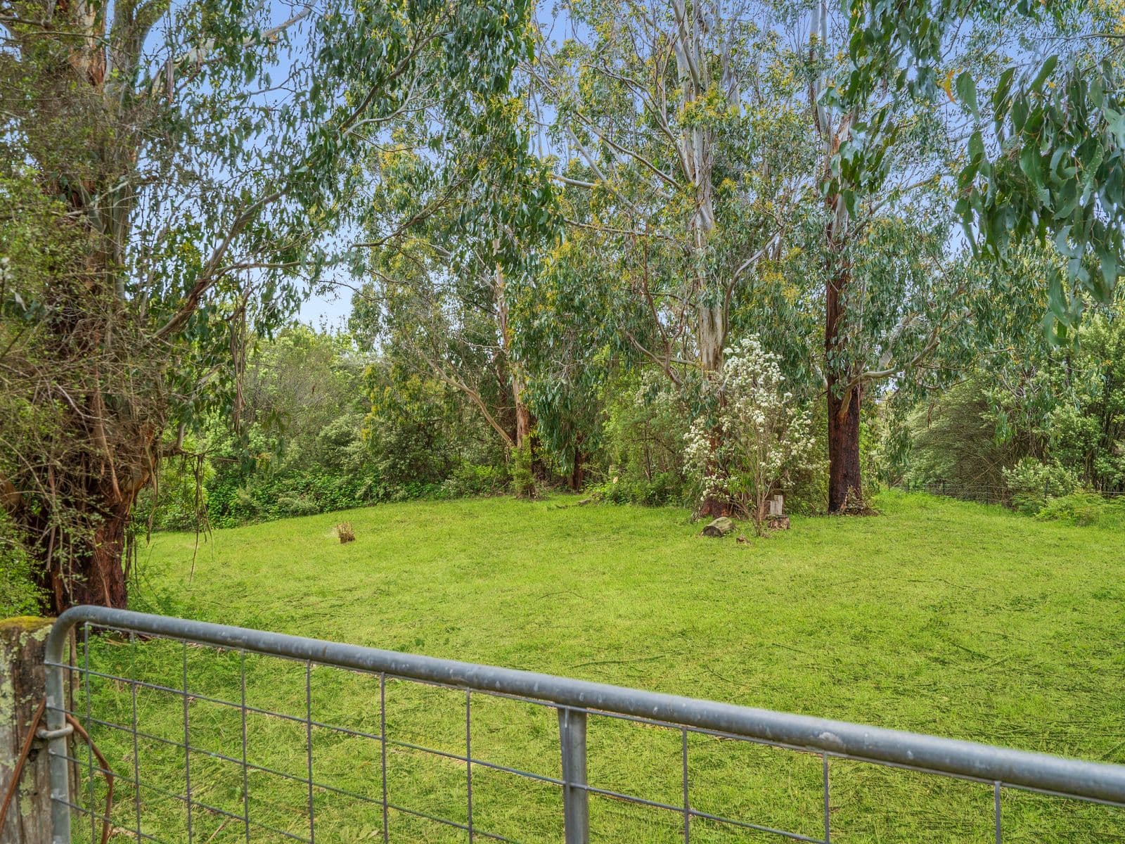 170 Blue Johanna Road, Johanna - Thumbnail 5
