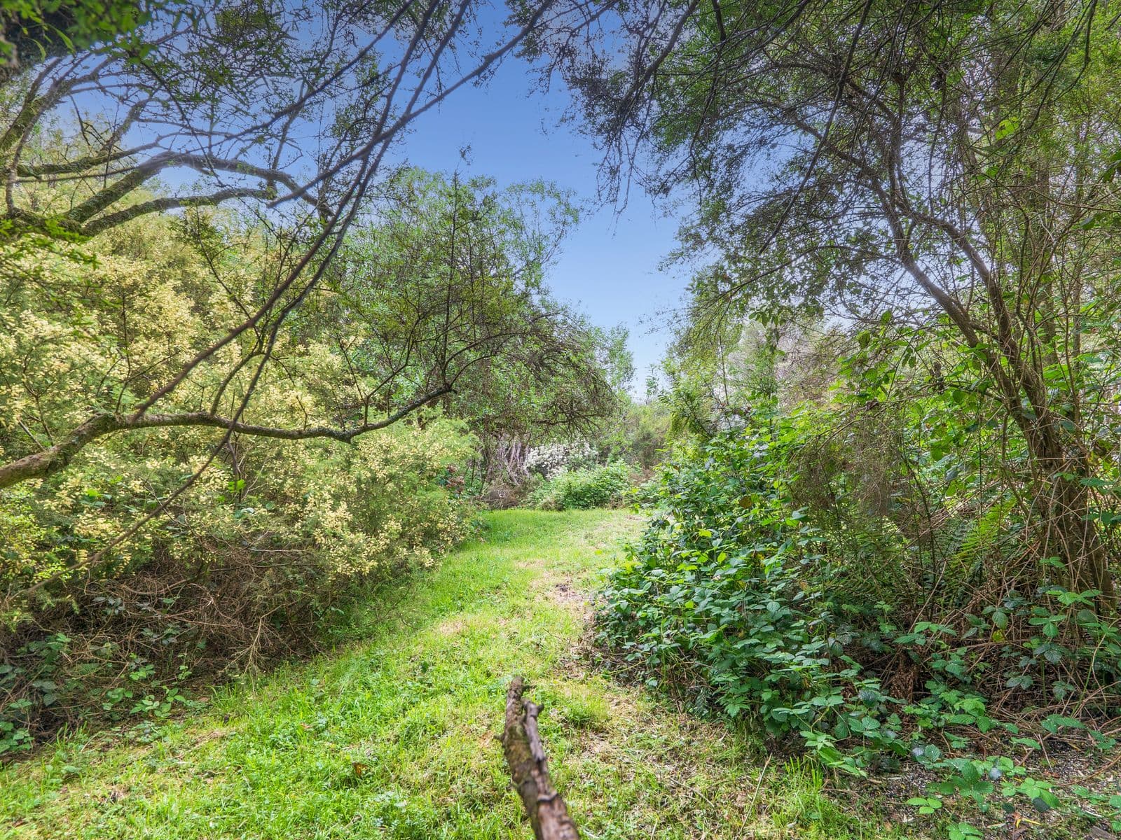 170 Blue Johanna Road, Johanna - Thumbnail 6
