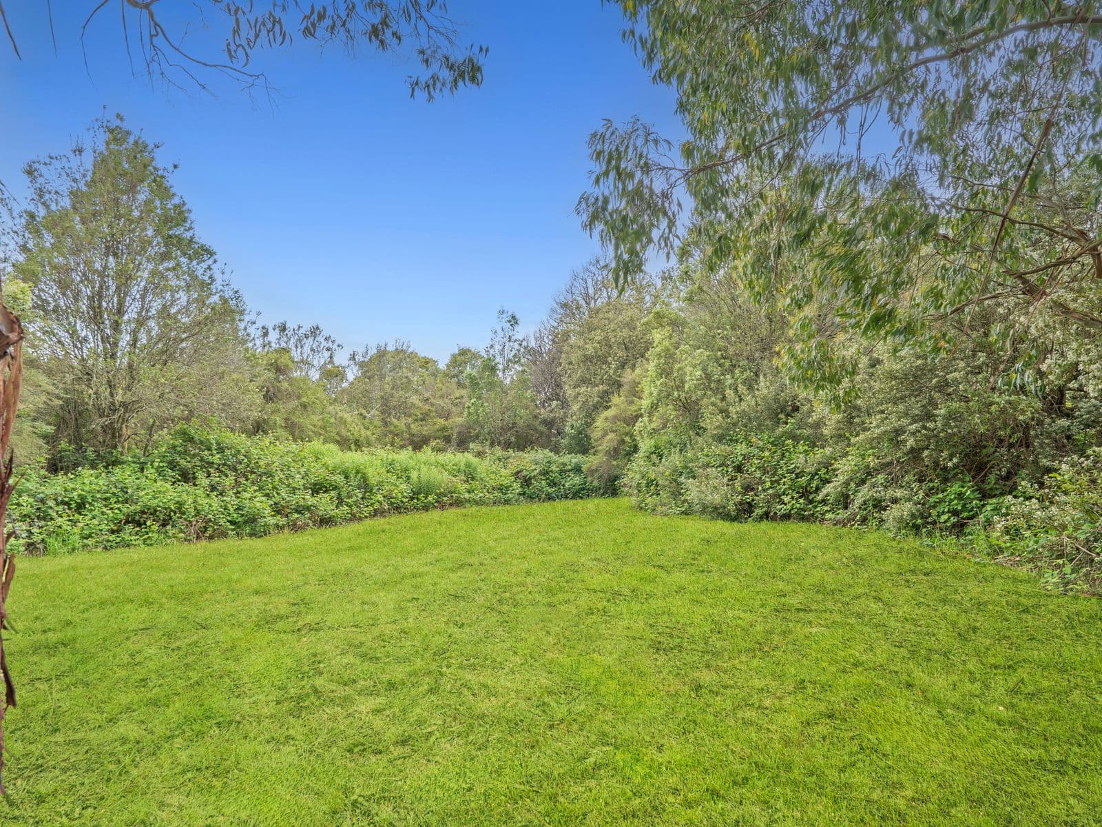 170 Blue Johanna Road, Johanna - Thumbnail 7