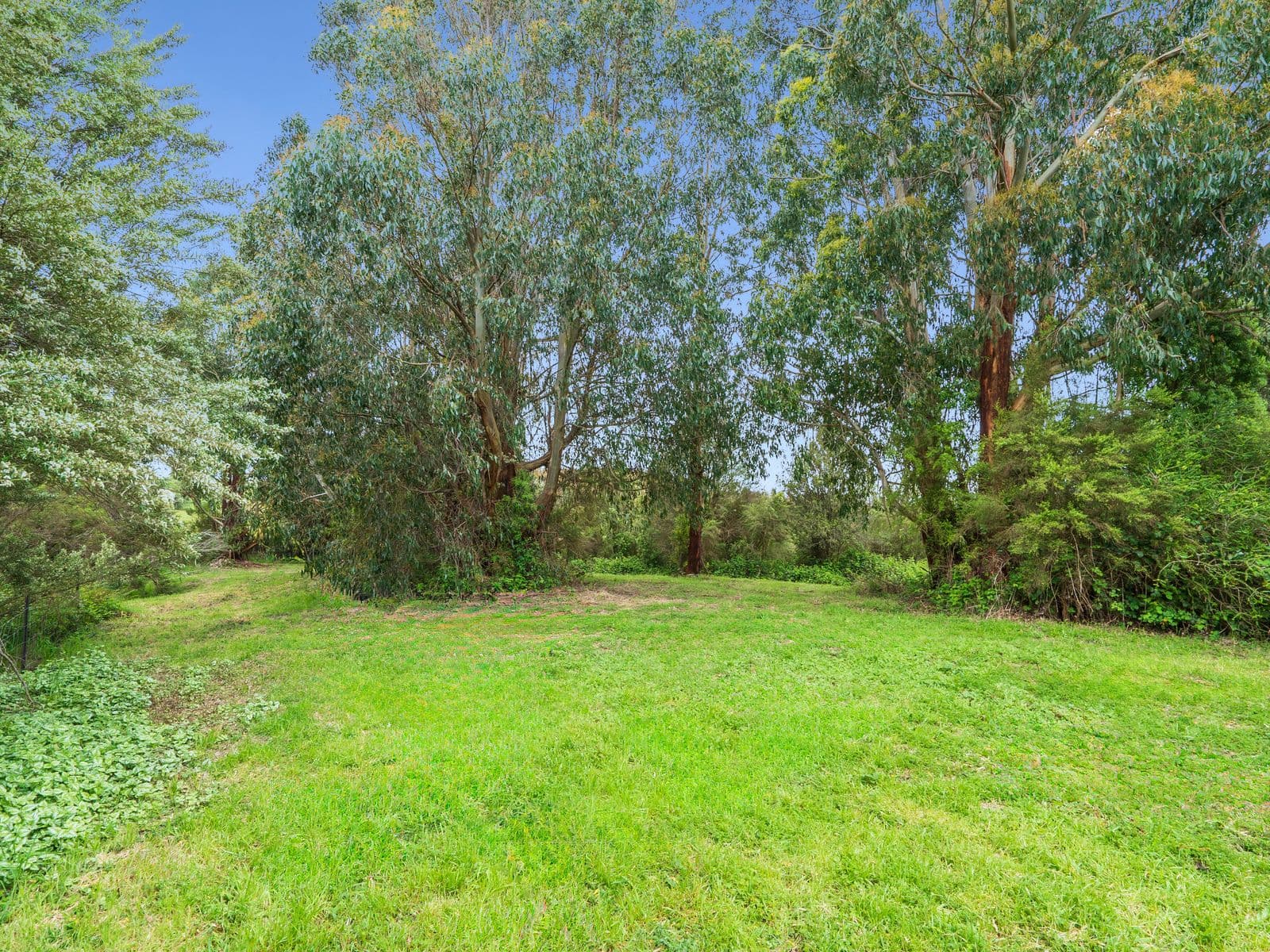 170 Blue Johanna Road, Johanna - Thumbnail 8