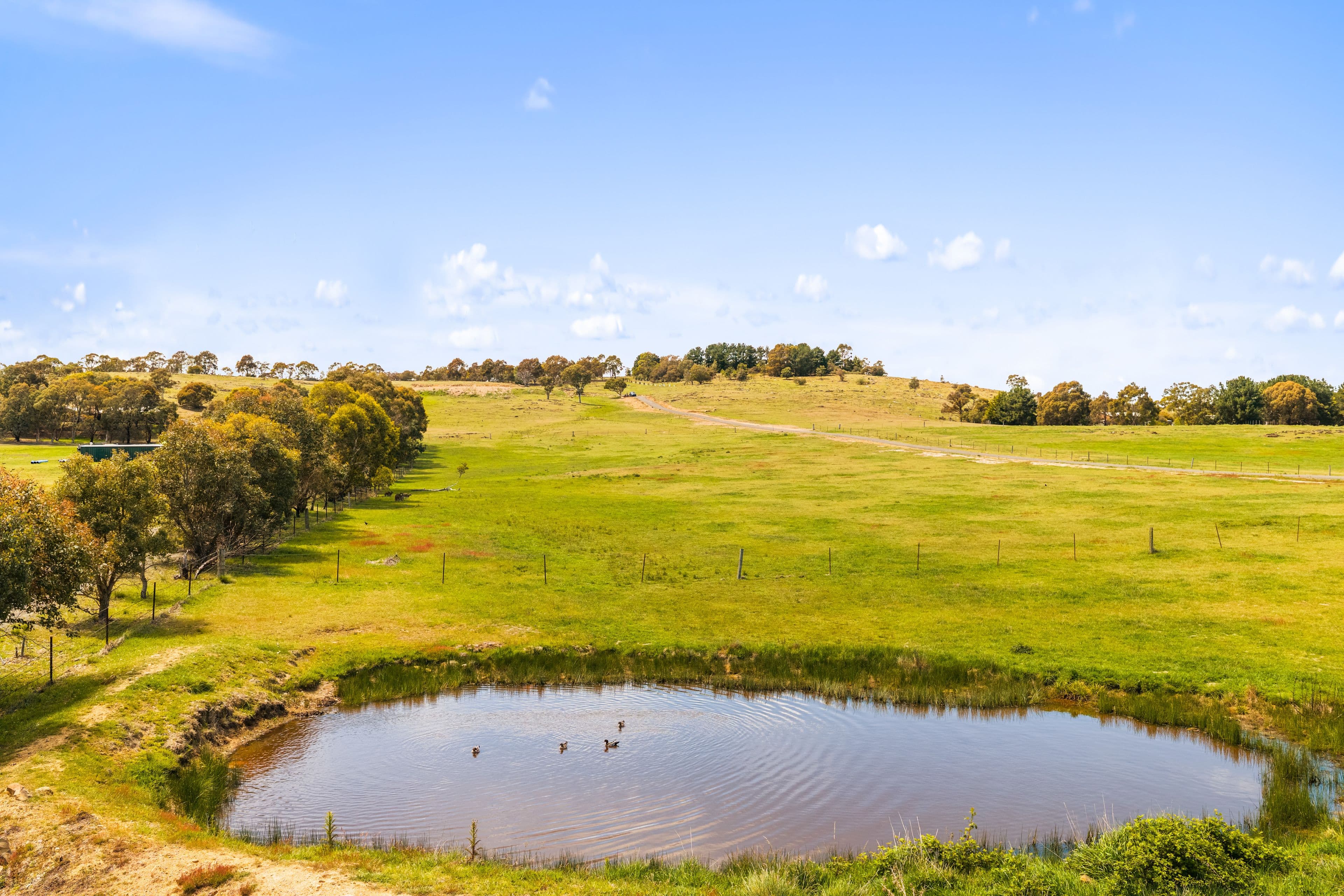 44 Weeroona Drive, WAMBOIN NSW 2620, Wamboin - Thumbnail 3