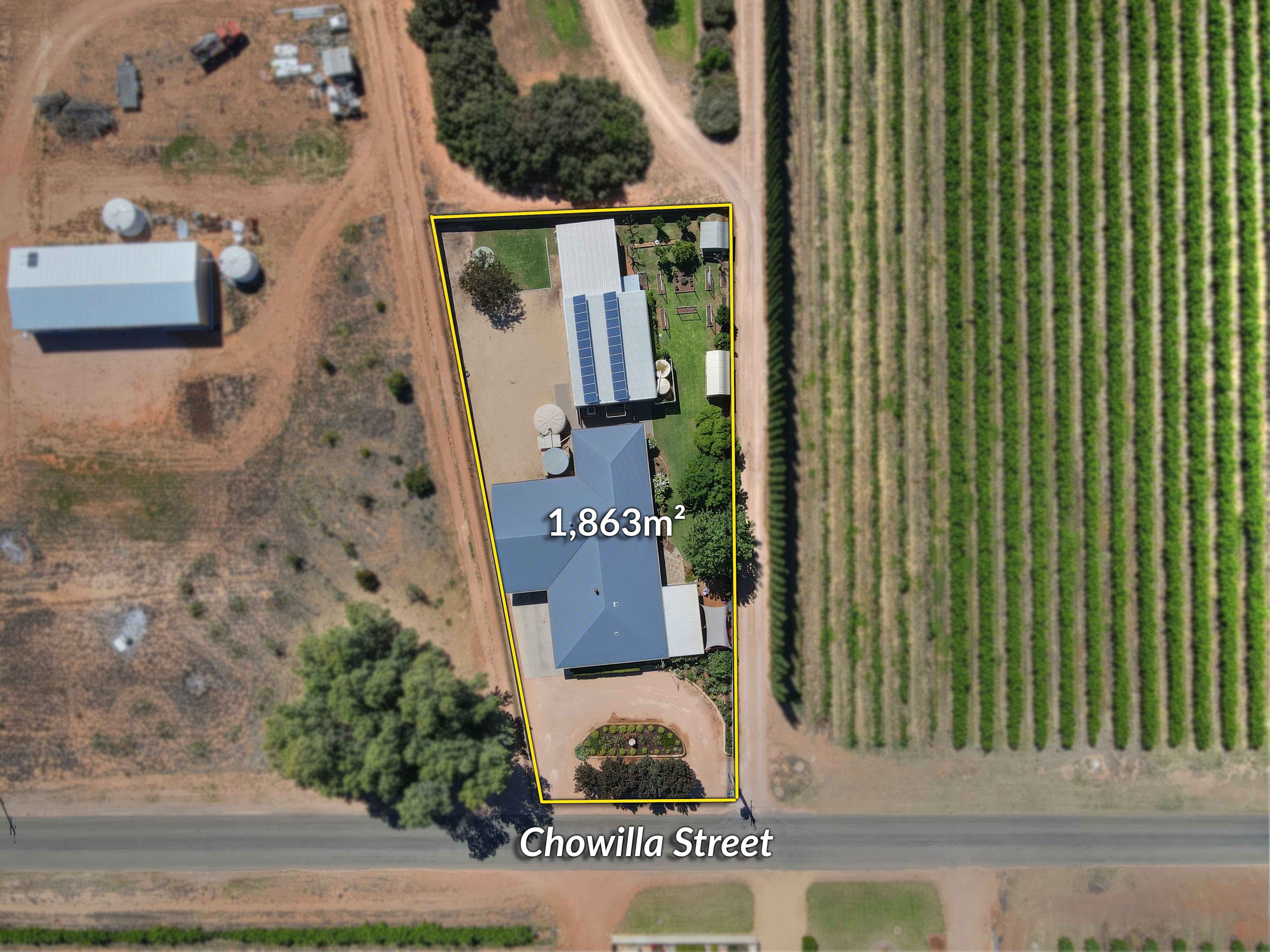 723 Chowilla Street, Renmark SA 5341, Renmark West - Thumbnail 2