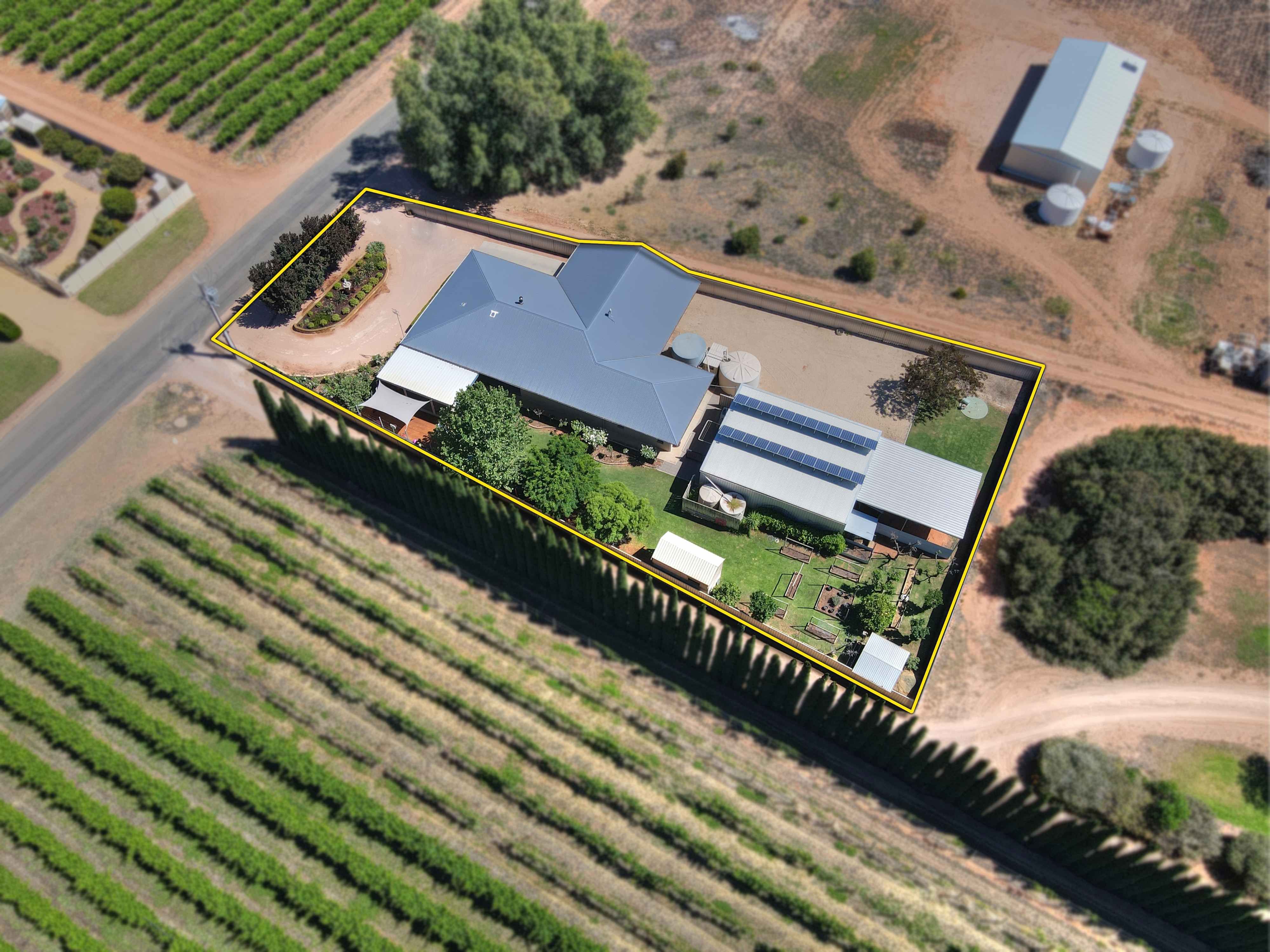 723 Chowilla Street, Renmark SA 5341, Renmark West - Thumbnail 3