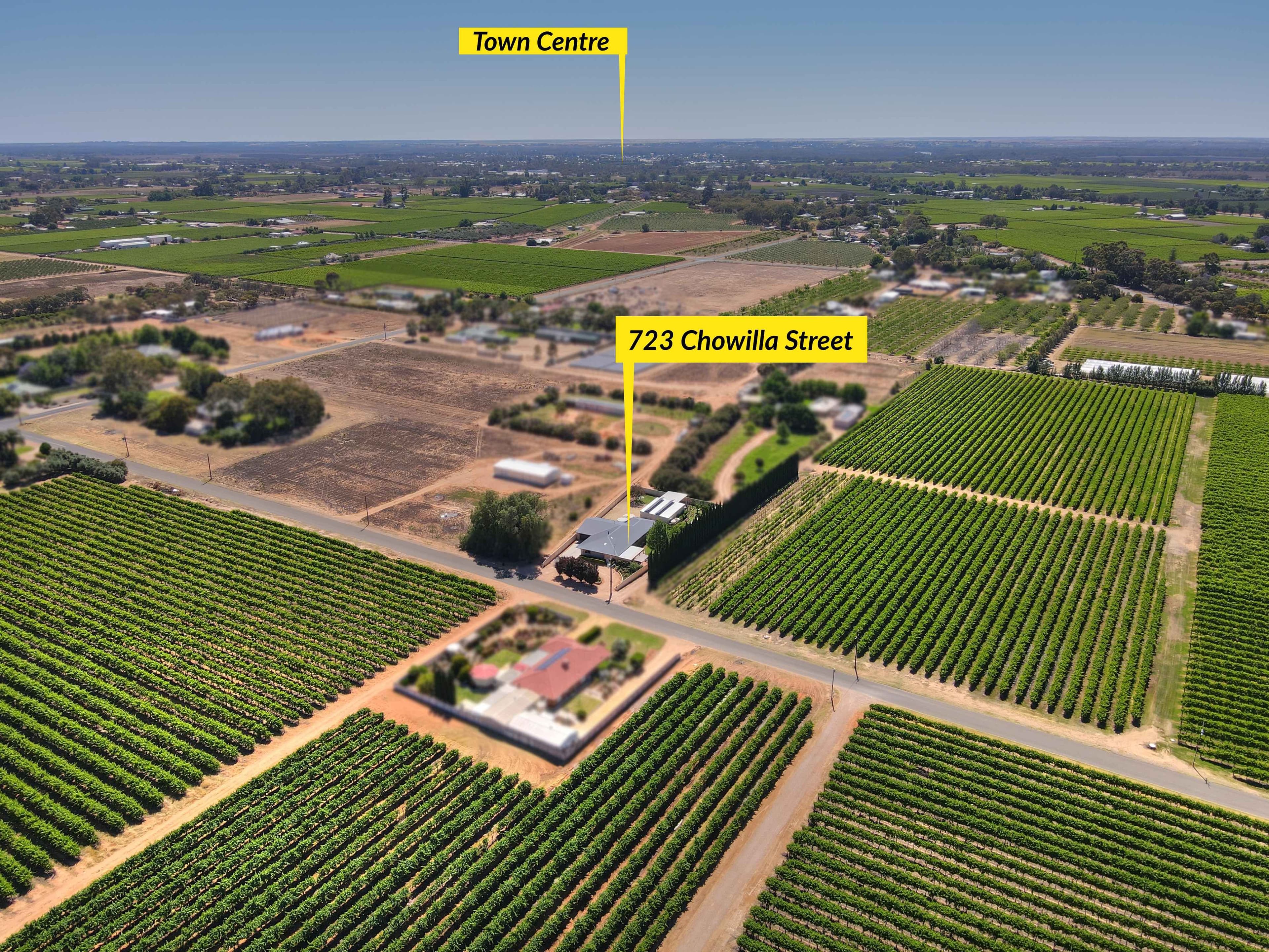 723 Chowilla Street, Renmark SA 5341, Renmark West - Thumbnail 4