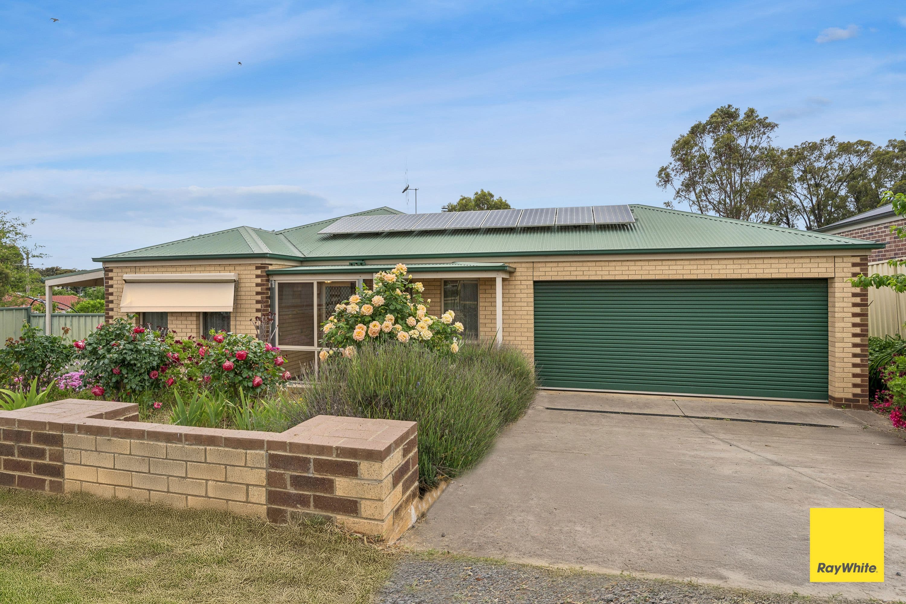 5 Albert Street, Long Gully VIC 3550, Long Gully - Thumbnail 3