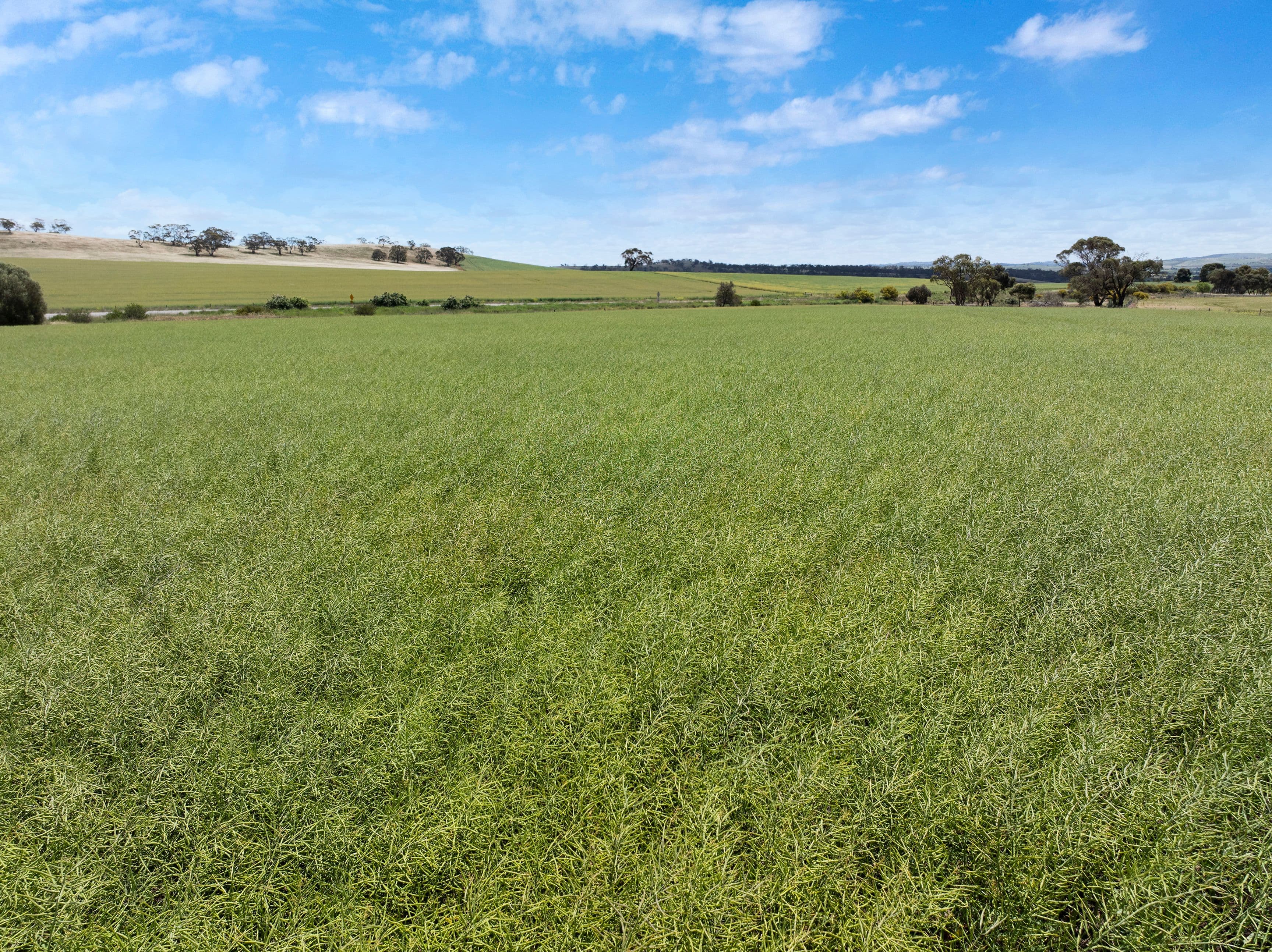 'Parker's' Horrocks Highway, Undalya SA 5451, Undalya - Image 1