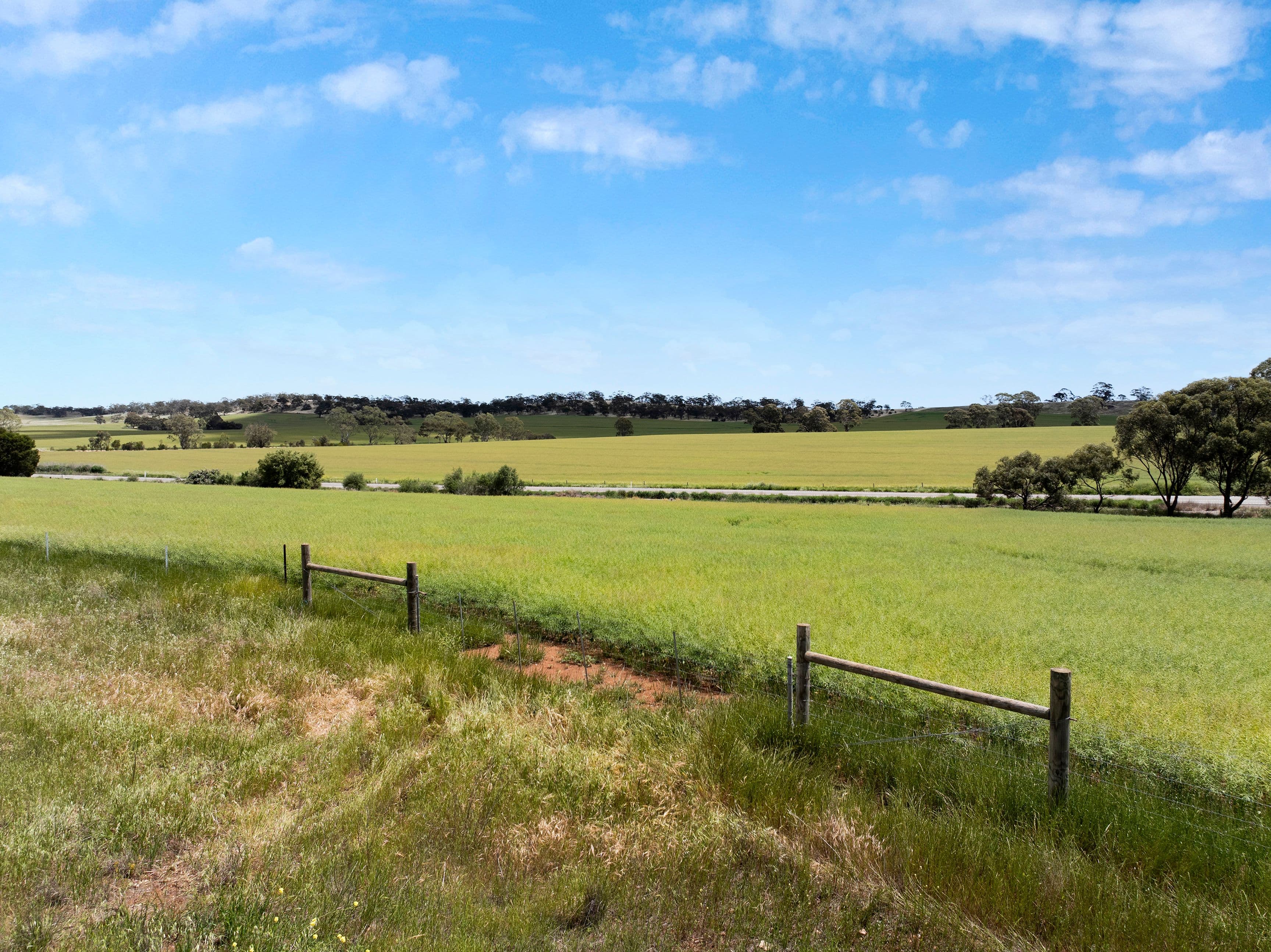 'Parker's' Horrocks Highway, Undalya SA 5451, Undalya - Thumbnail 5