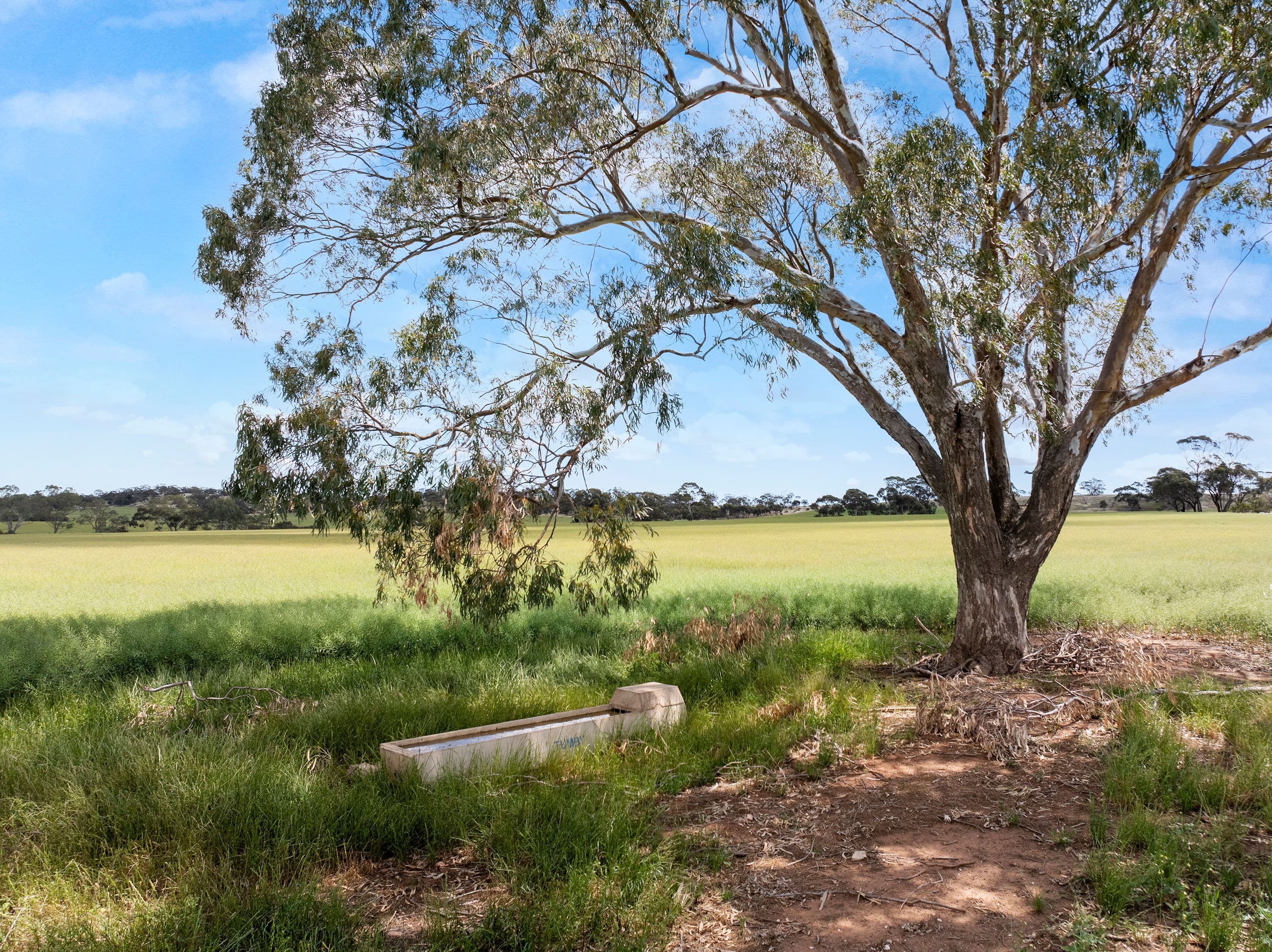 'Parker's' Horrocks Highway, Undalya SA 5451, Undalya - Thumbnail 6