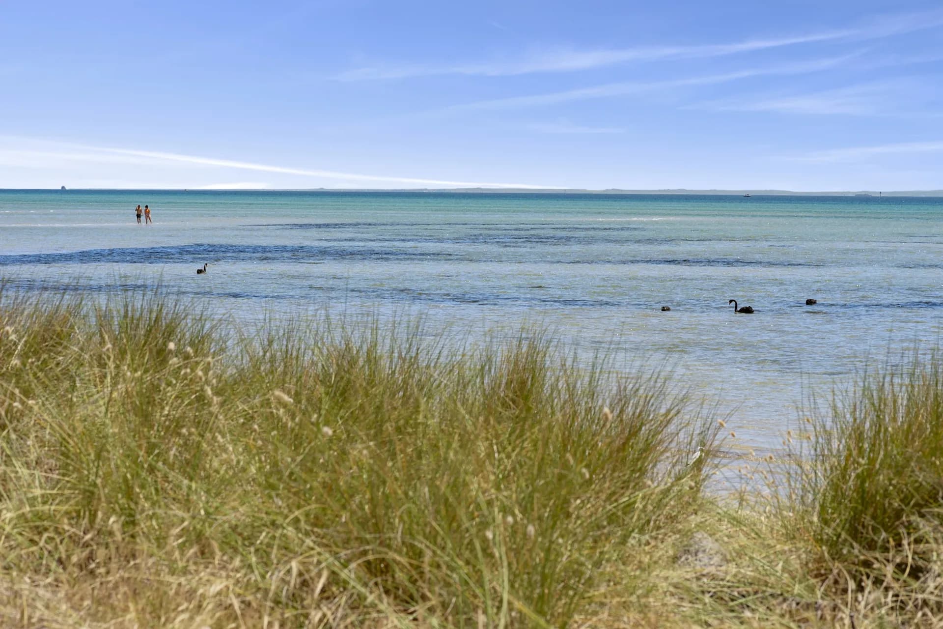 Boatshed 161, Rosebud Foreshore, Rosebud, VIC, Rosebud - Thumbnail 6