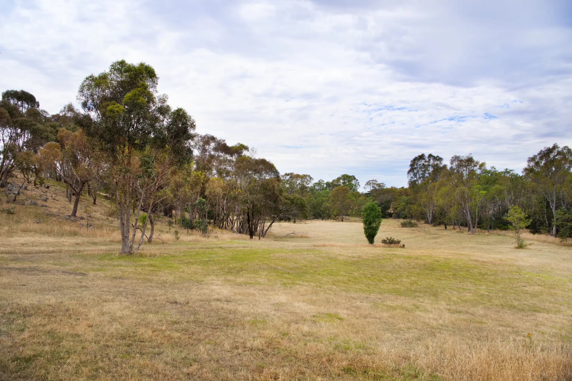 Lot 1,  Everode Drive, Sedgwick, VIC, Everode Drive - Thumbnail 2