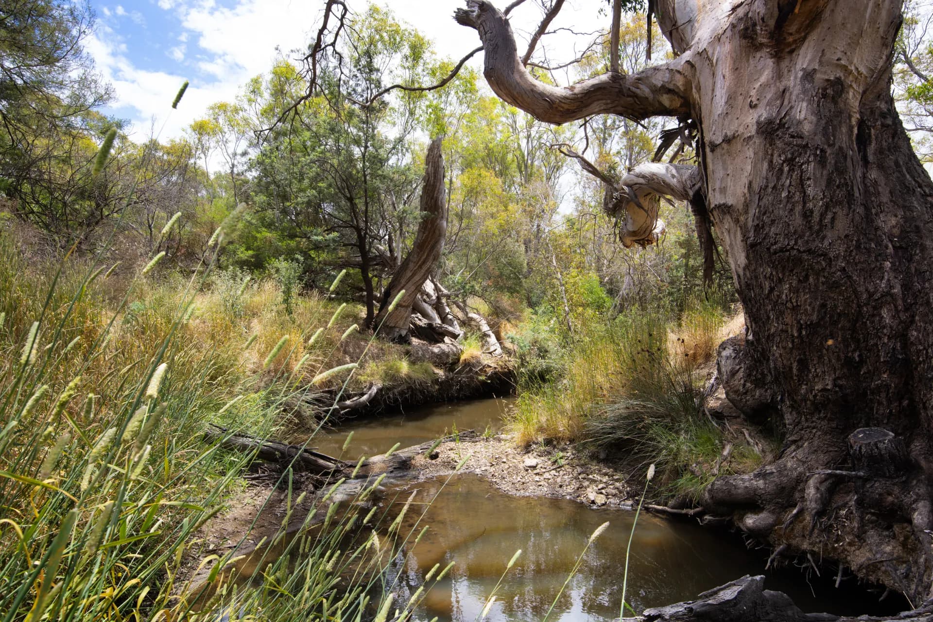 Lot 1,  Everode Drive, Sedgwick, VIC, Everode Drive - Thumbnail 3