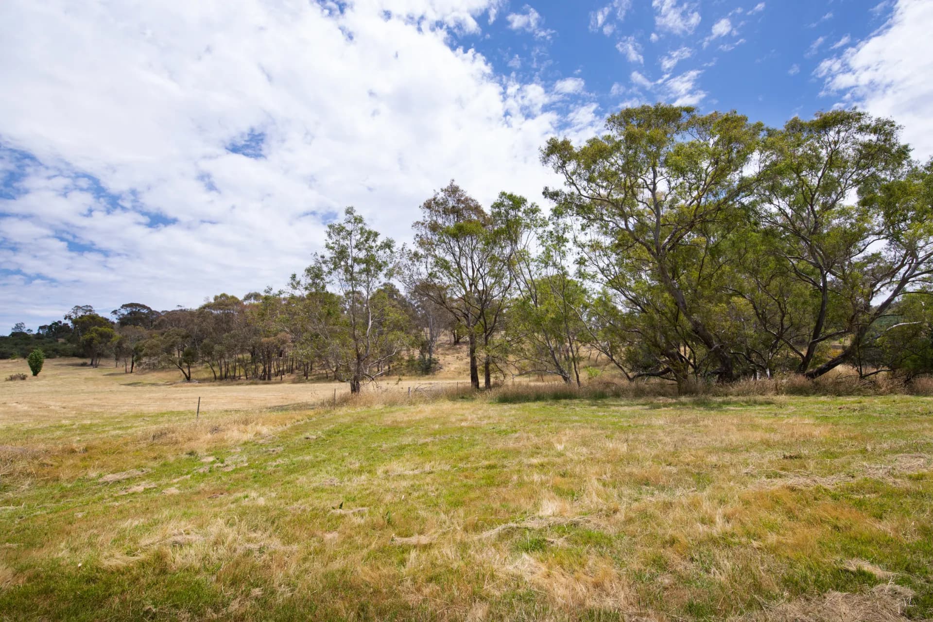 Lot 1,  Everode Drive, Sedgwick, VIC, Everode Drive - Thumbnail 4