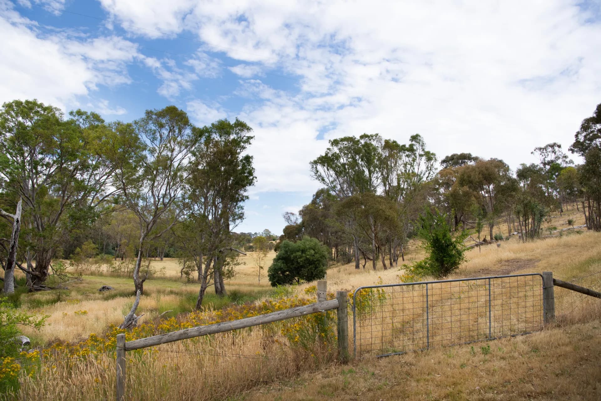 Lot 1,  Everode Drive, Sedgwick, VIC, Everode Drive - Thumbnail 5