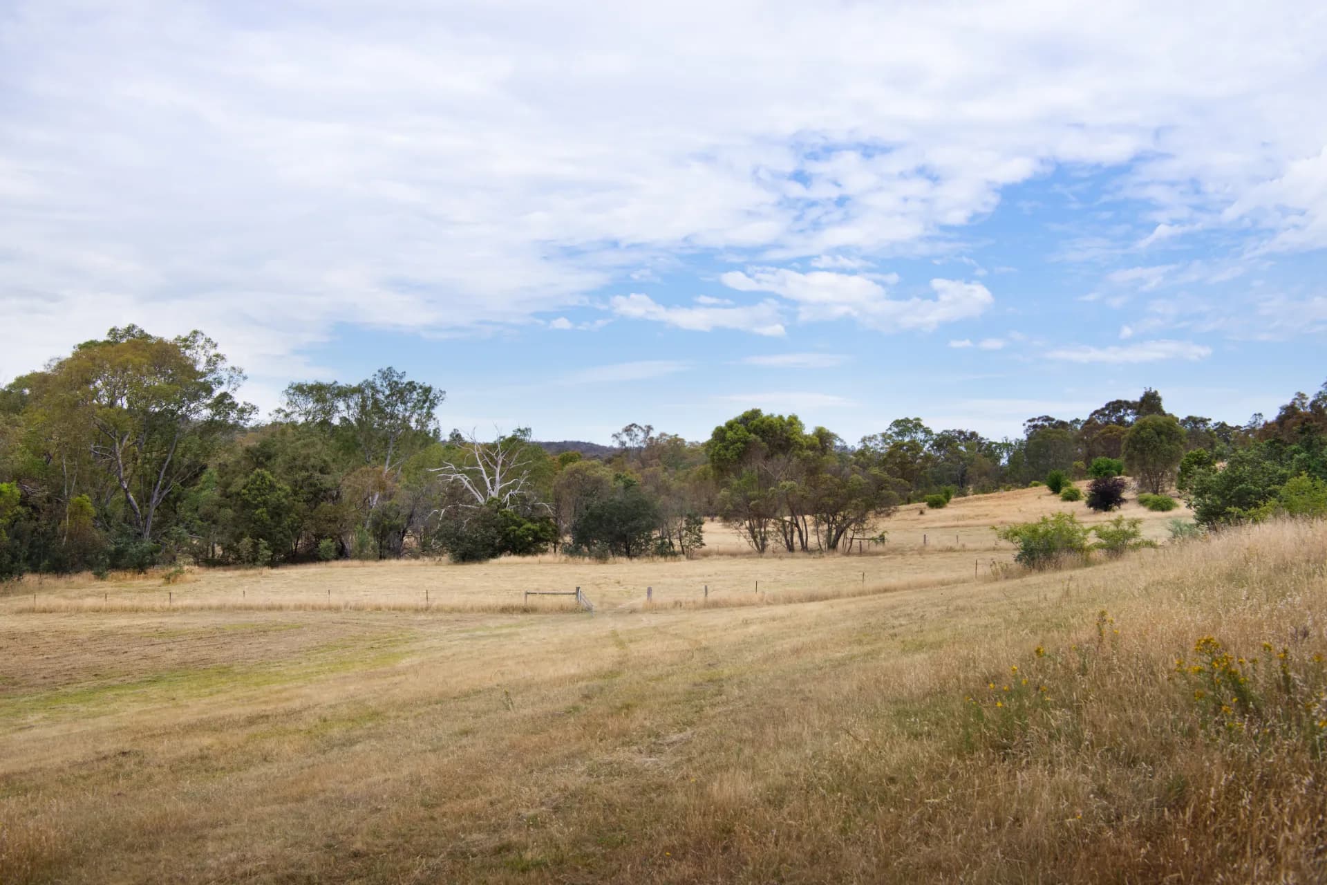 Lot 1,  Everode Drive, Sedgwick, VIC, Everode Drive - Thumbnail 6