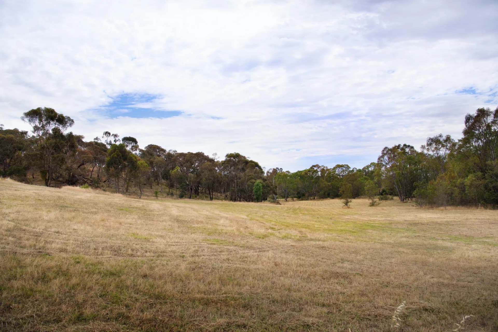 Lot 1,  Everode Drive, Sedgwick, VIC, Everode Drive - Thumbnail 7