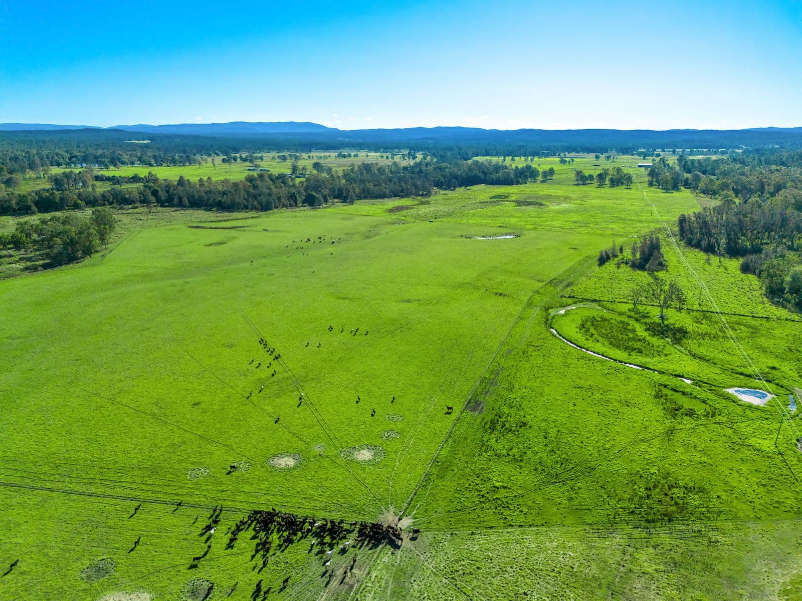 160 Busbys Flat Road, Leeville - Thumbnail 4