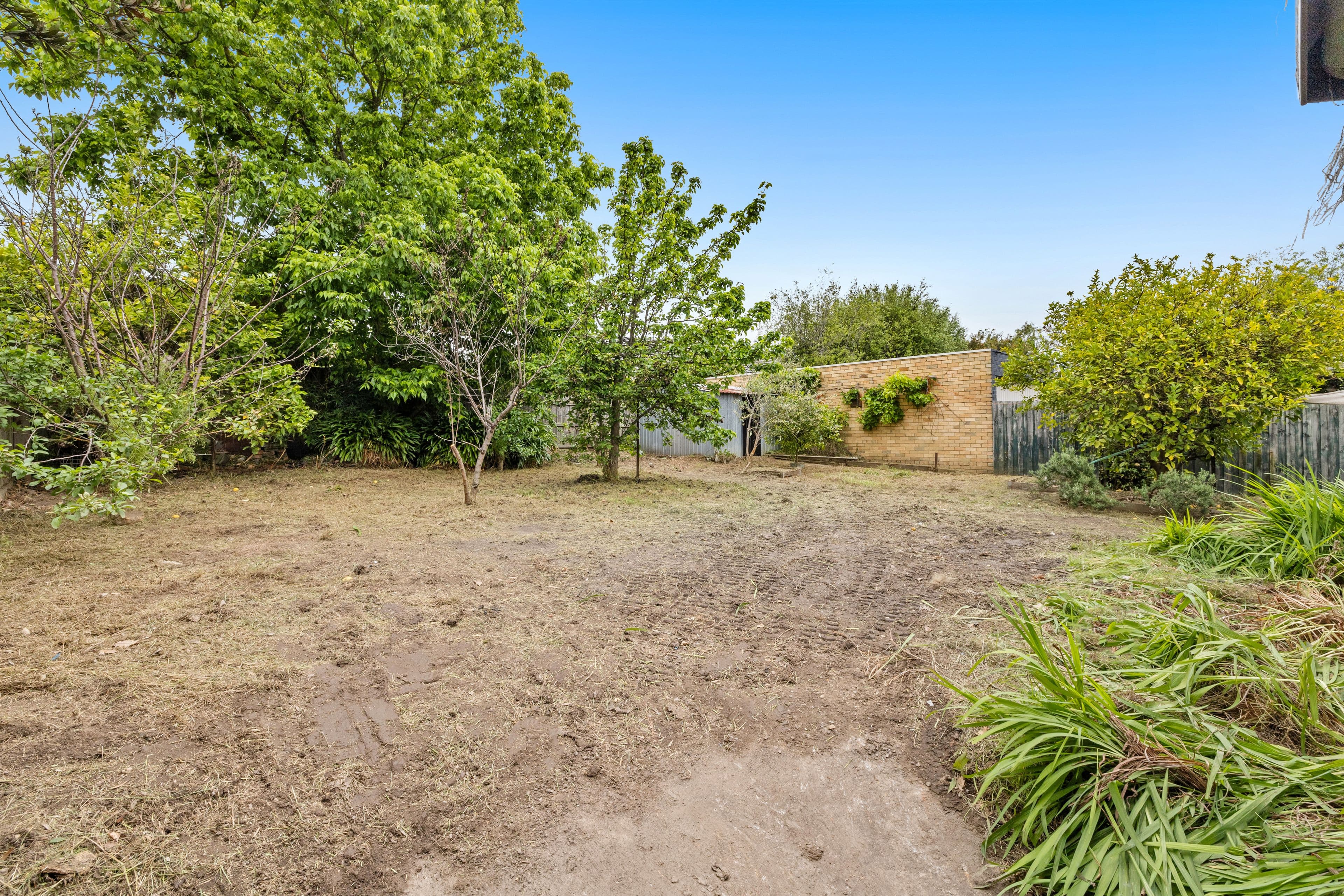 22 Lindsay Street, Macleod VIC 3085, Macleod - Thumbnail 6