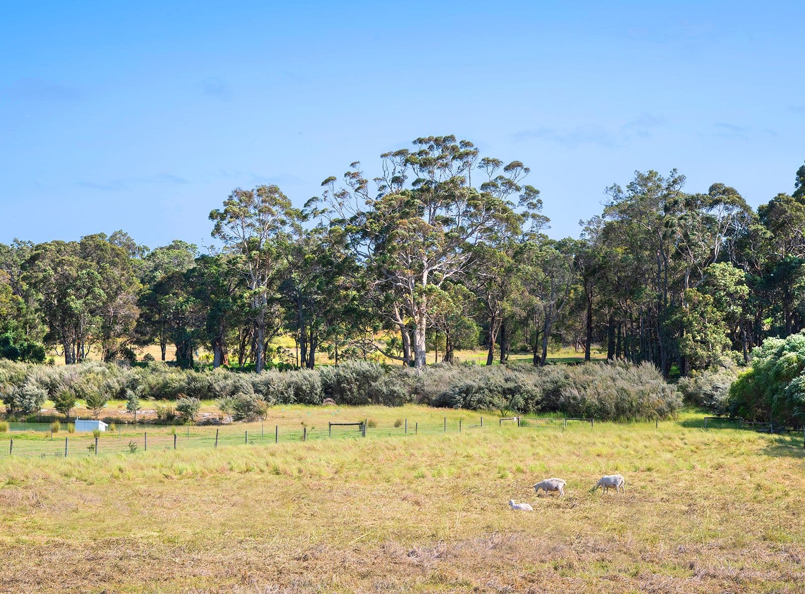 17 Gumtree Close, Cowaramup, WA, 6284, Cowaramup - Image 1