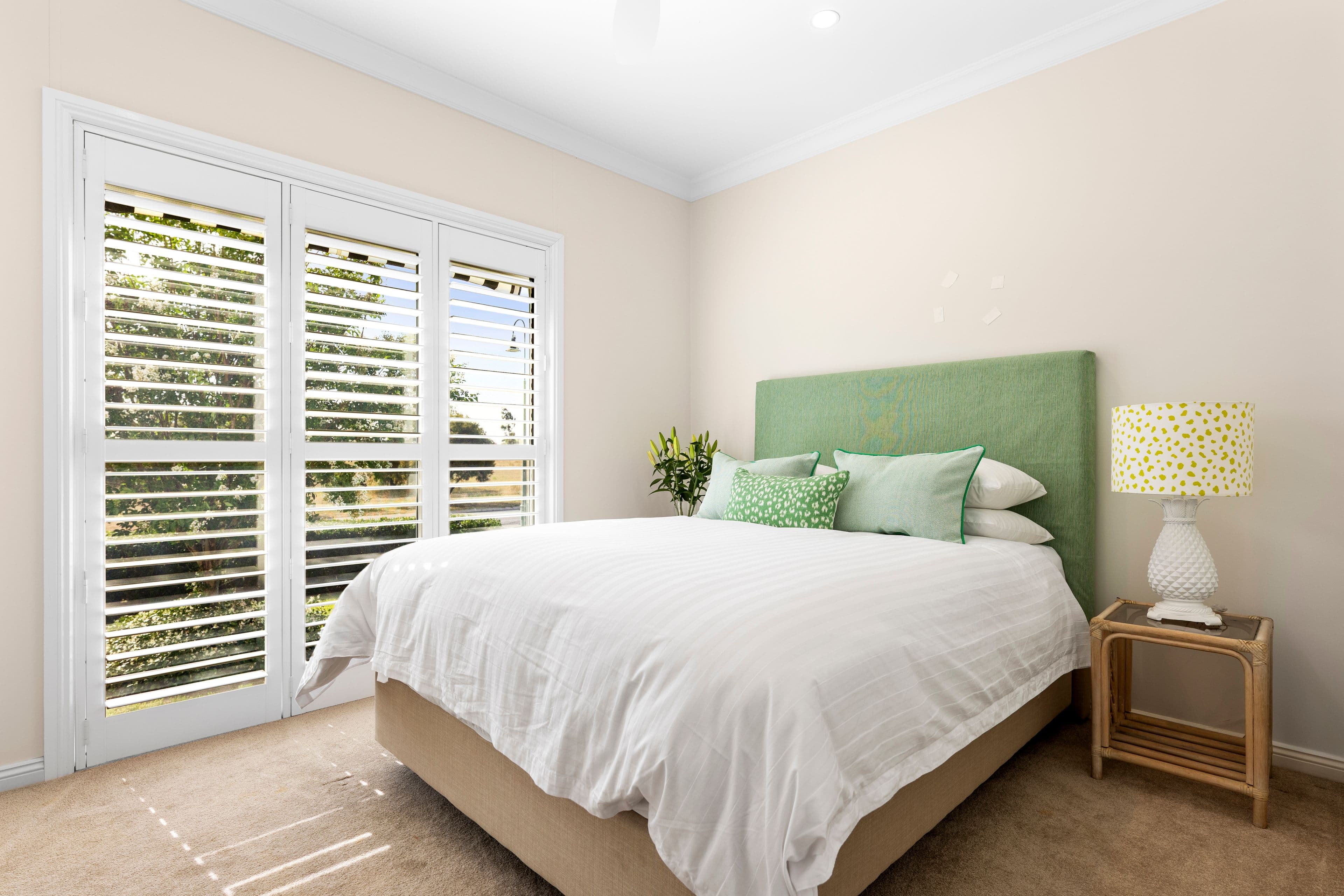 88 Johnston Road, Goondiwindi QLD 4390, Goondiwindi - Thumbnail 6