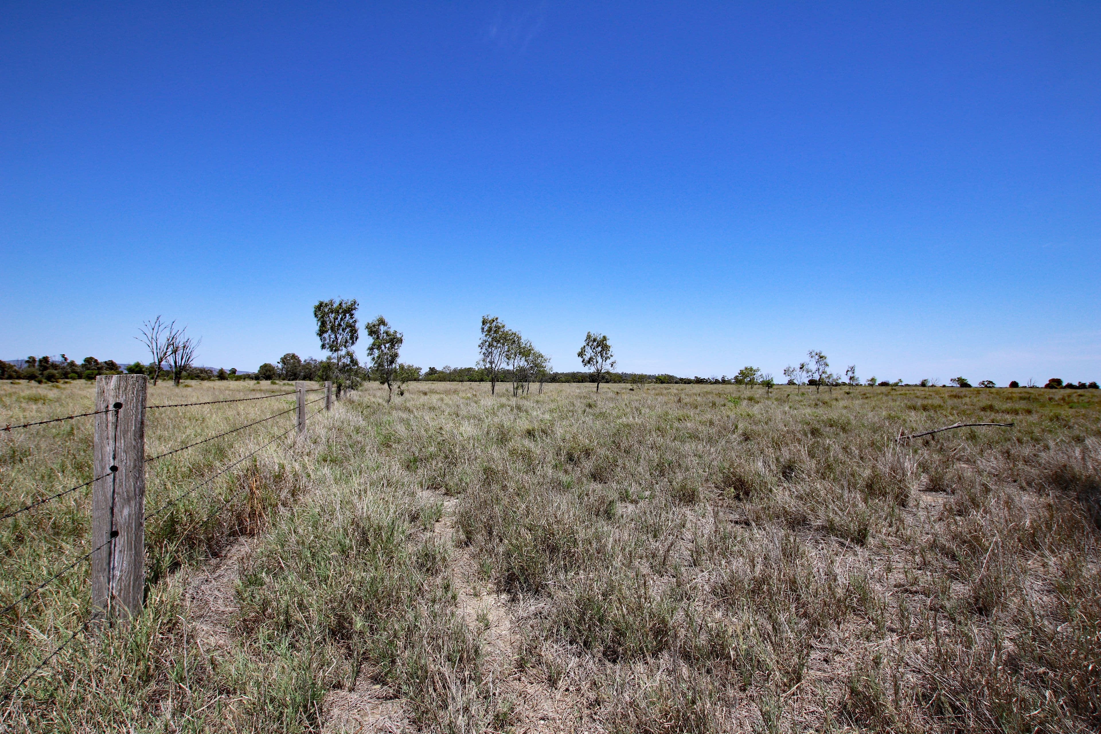 "Bundara" 400 Prospect Creek Goovigen Road, Orange Creek QLD 4715, Orange Creek - Thumbnail 3