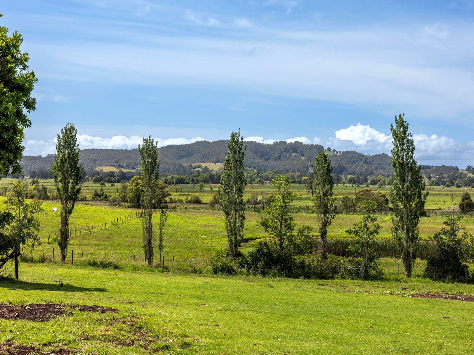 B125 Princes Highway, Berry - Thumbnail 5