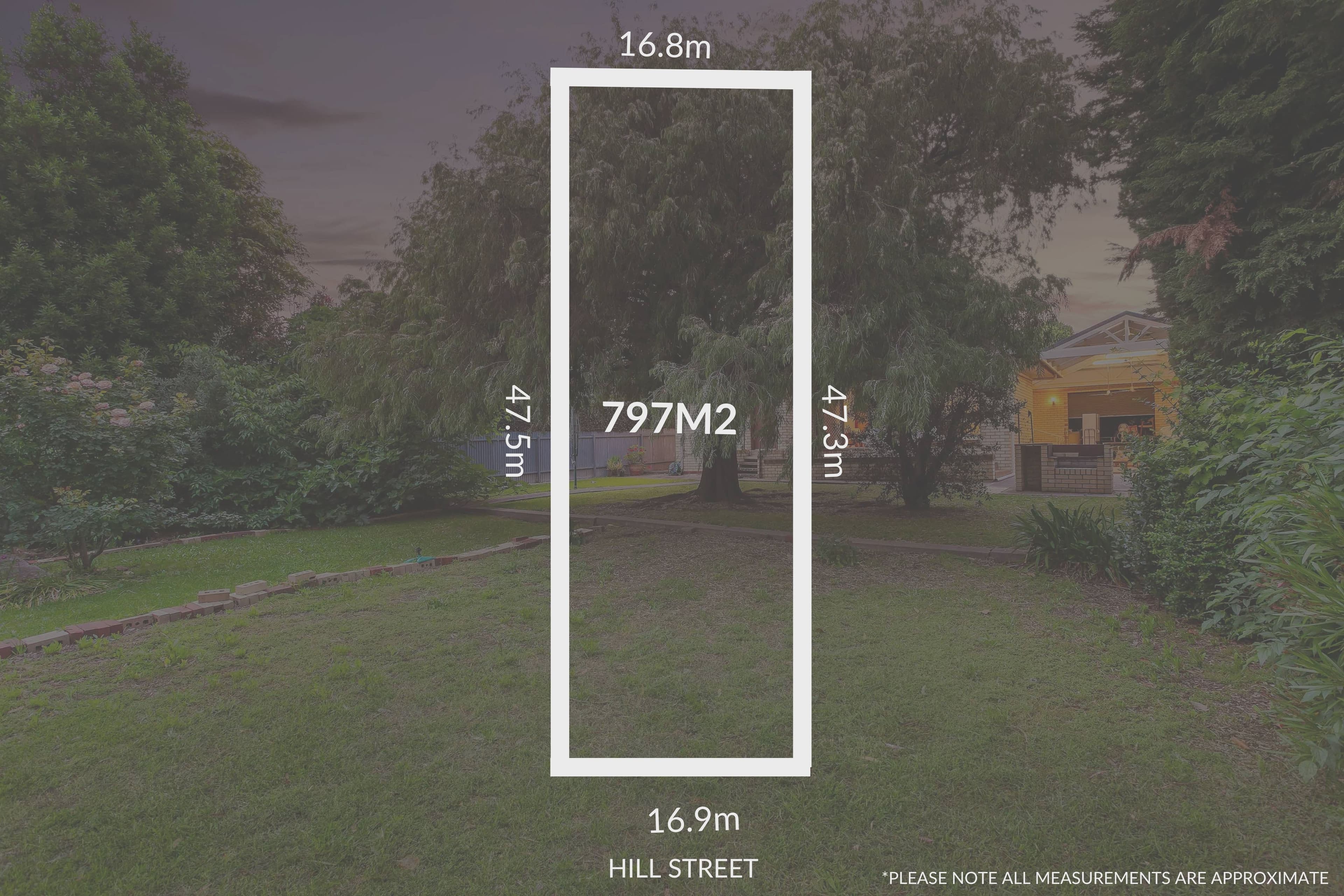 81 Hill Street, Netherby SA 5062, Netherby - Thumbnail 2
